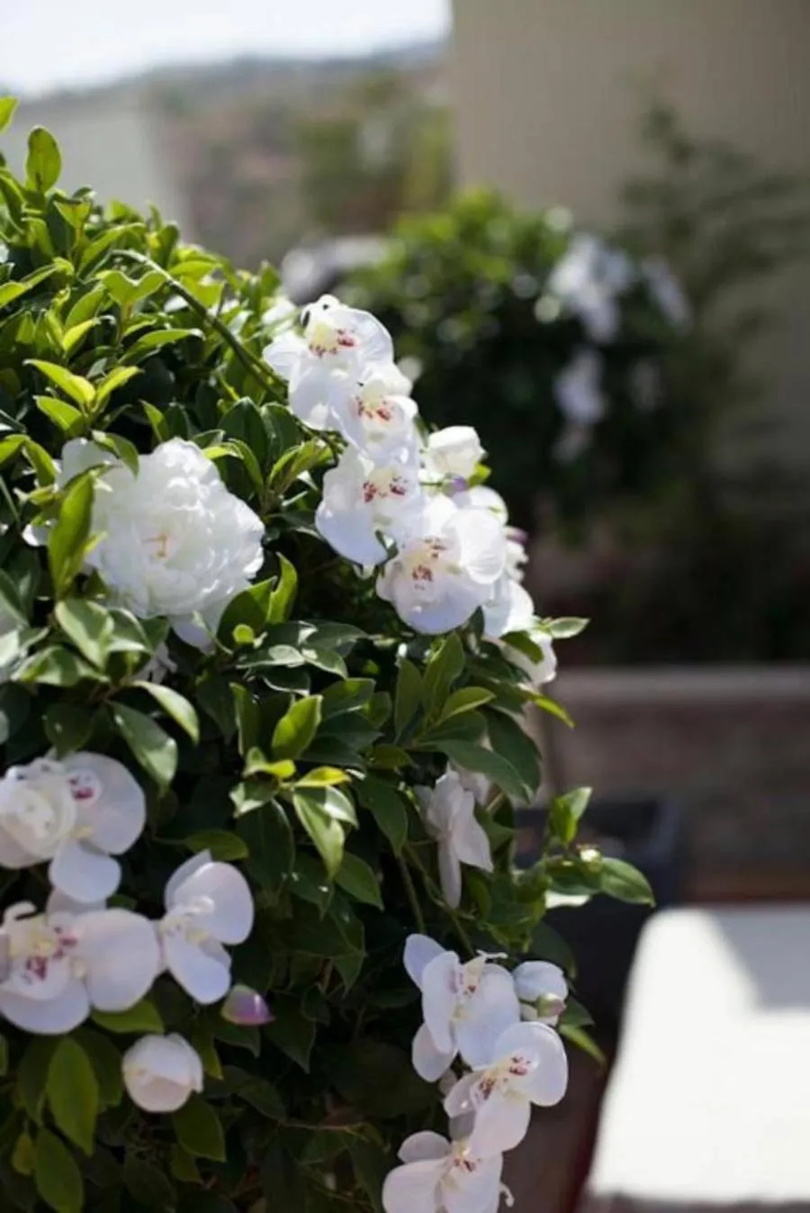 Other in Hotel Restaurante El Corte