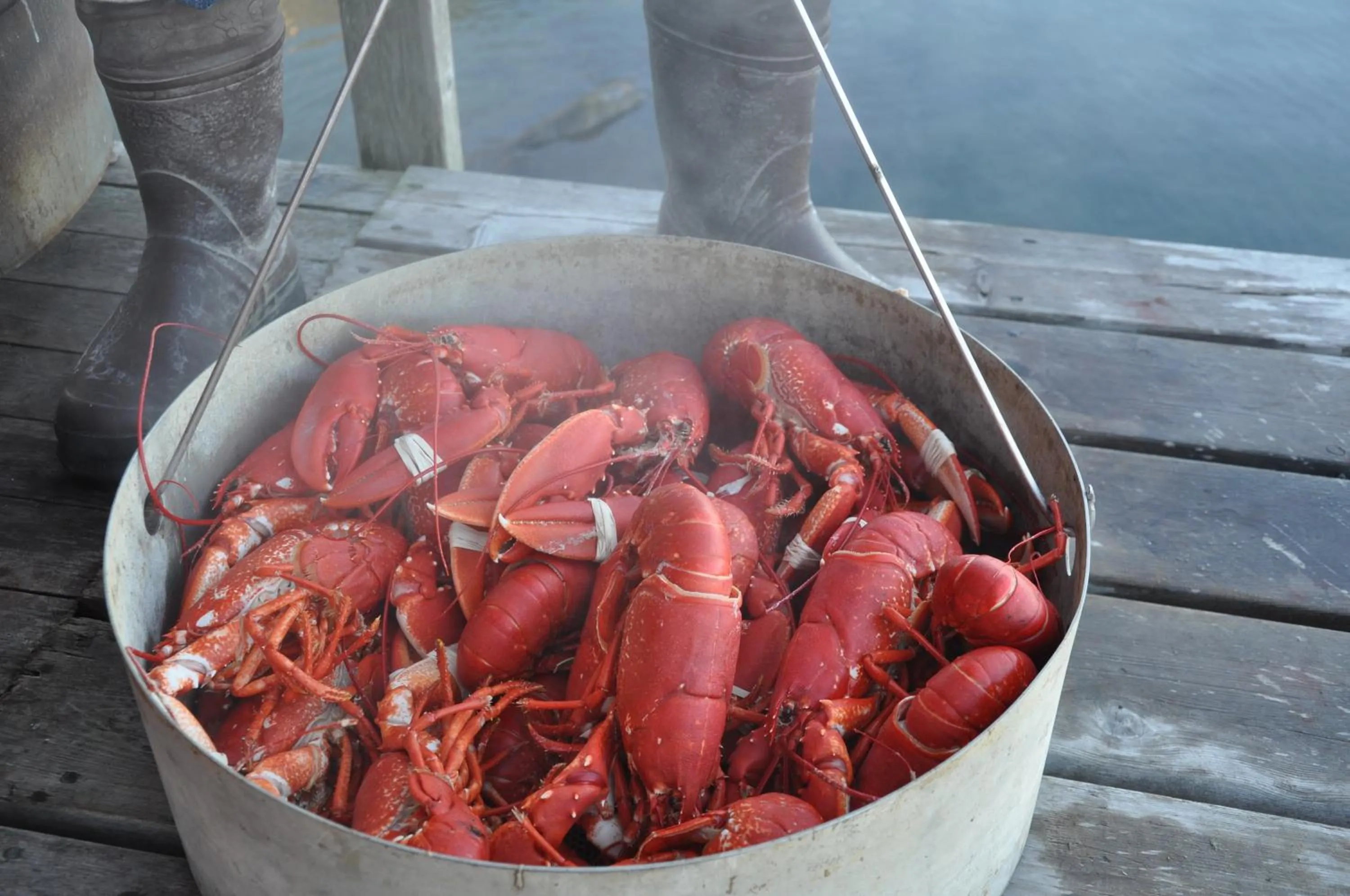 Food close-up in Bryggan Fjällbacka