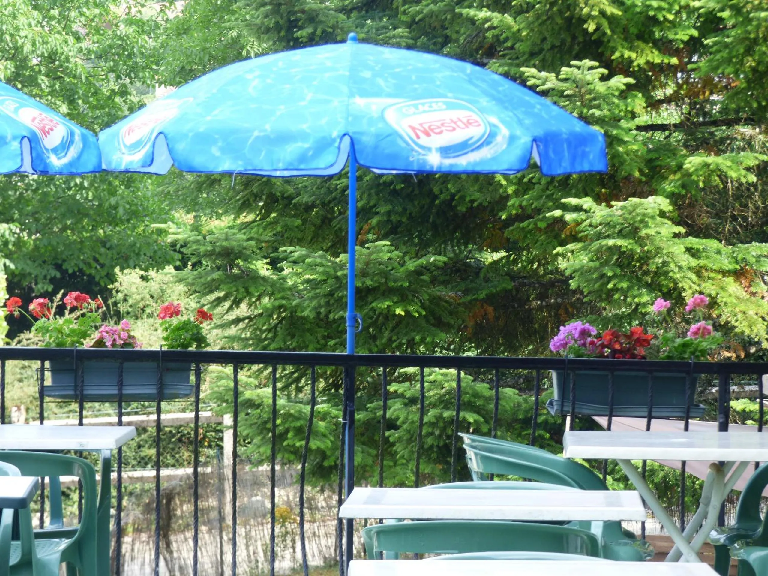 Balcony/Terrace in Hotel Restaurant La Chaumiere du Lac