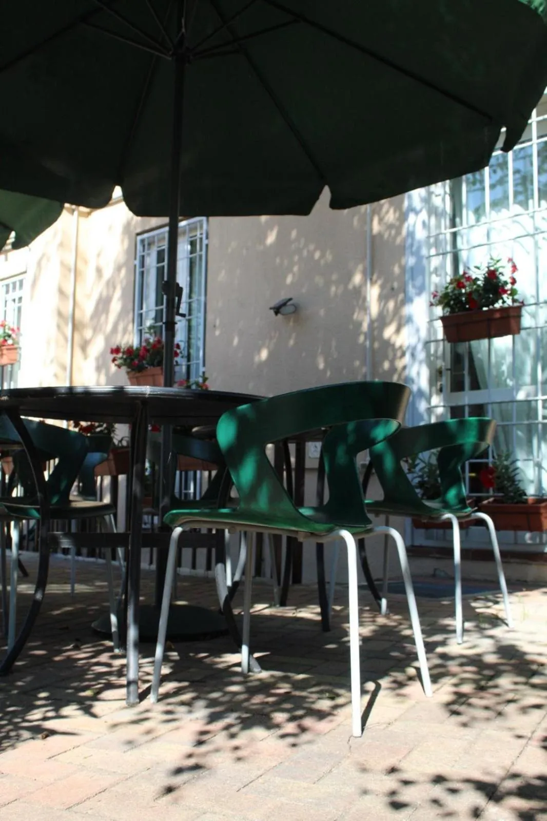 Garden in Baby Hotel