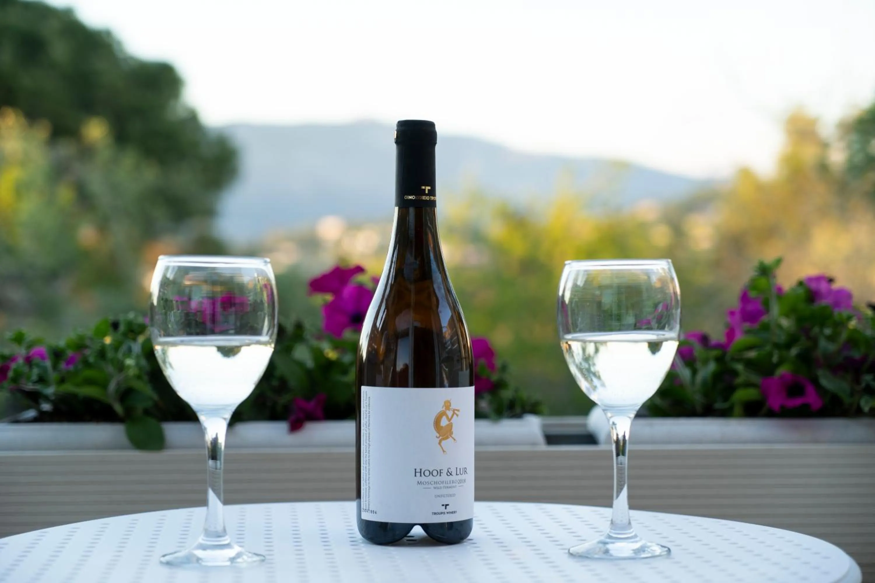 Decorative detail in Art Hotel Debono