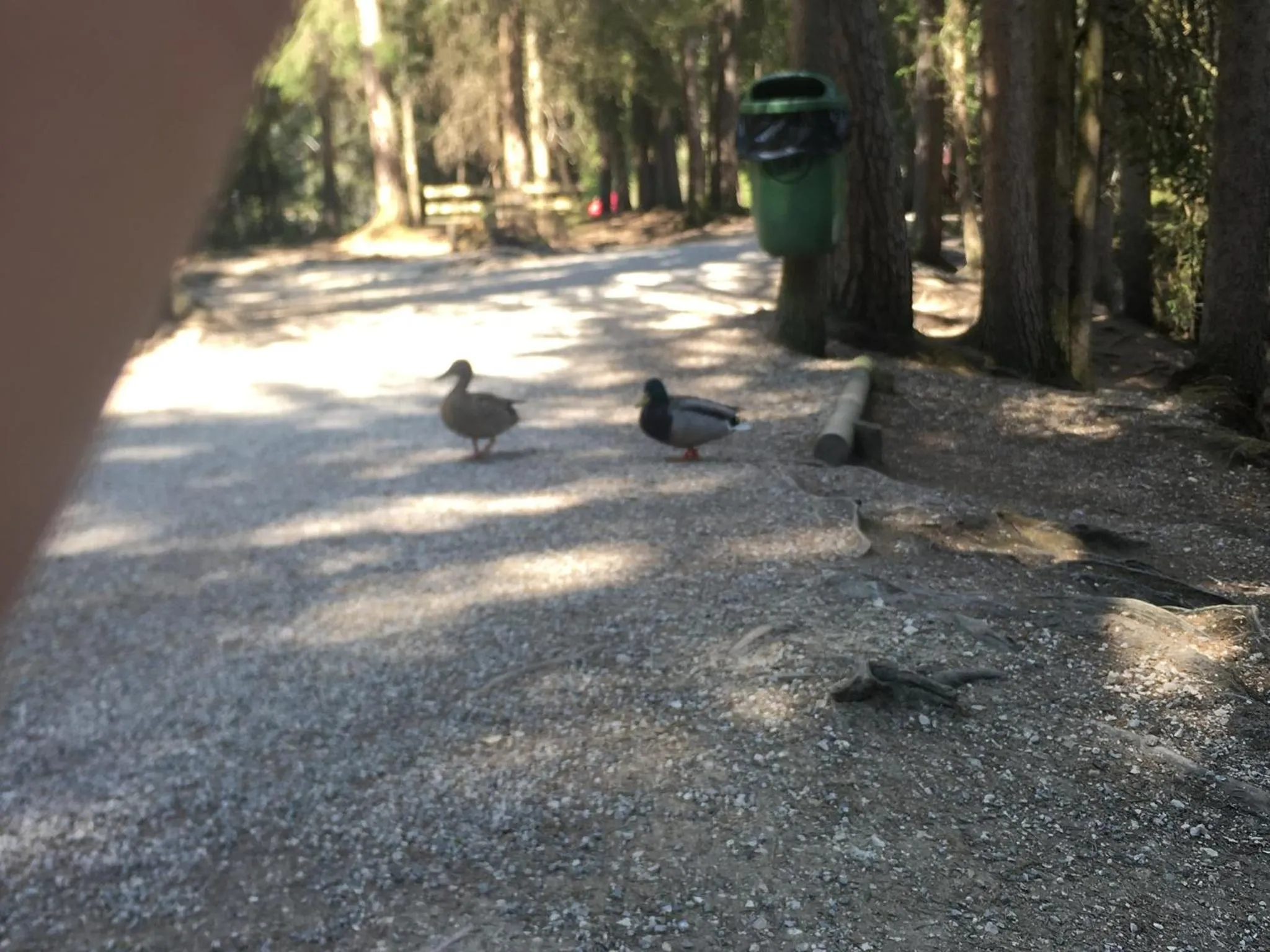 Hiking in LakeSide Apartments Seefeld