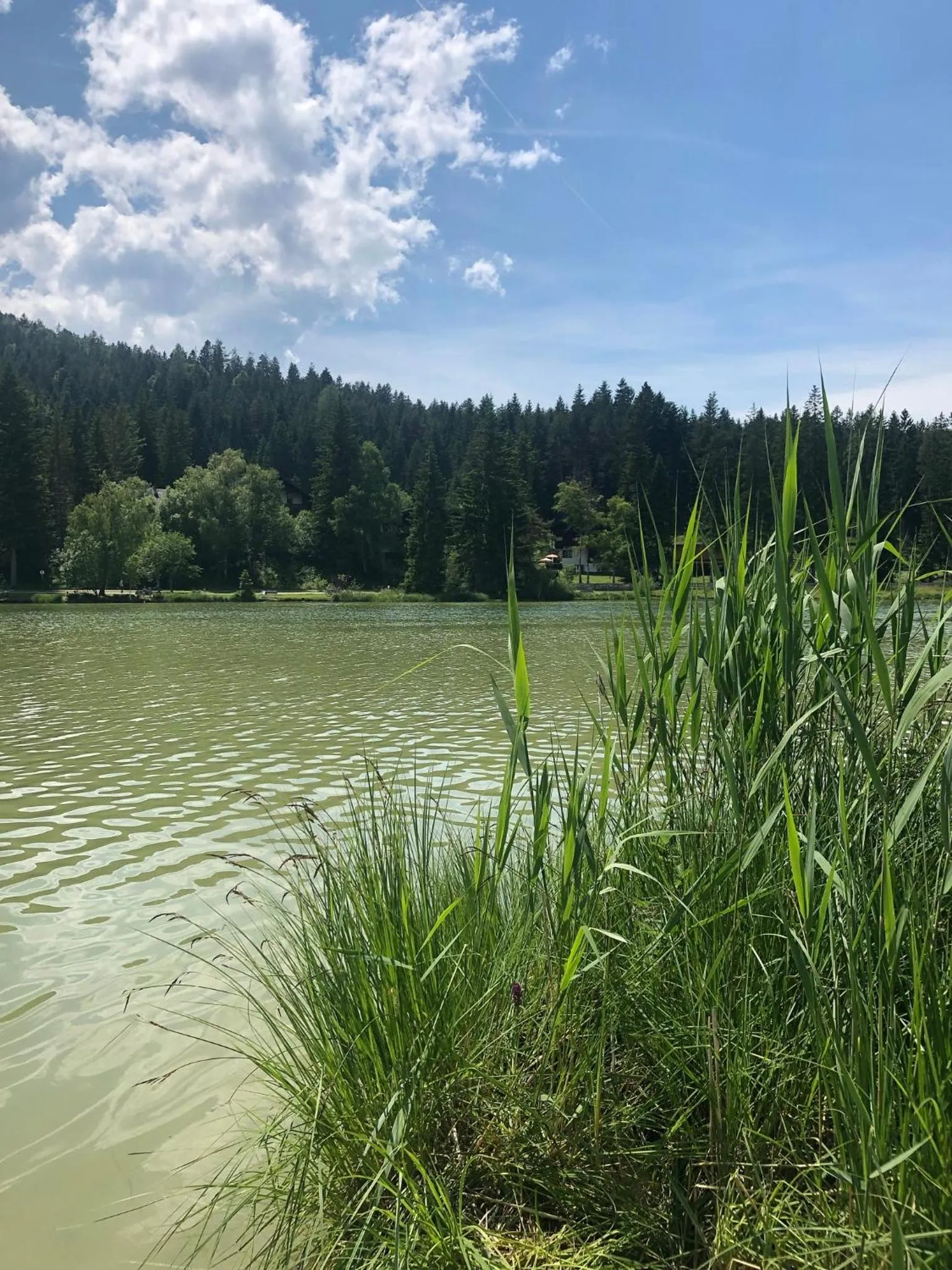 Natural landscape in LakeSide Apartments Seefeld