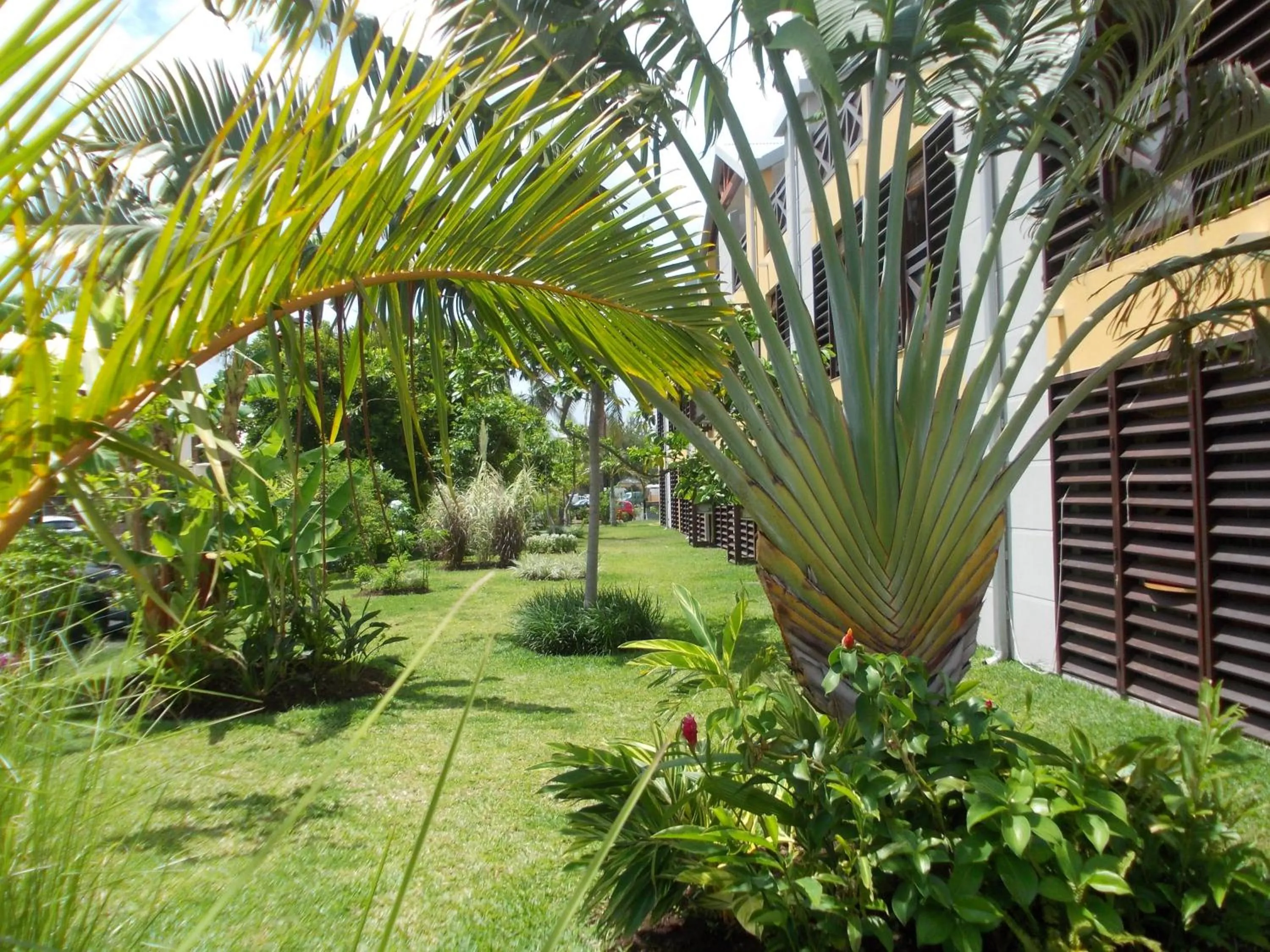 Garden in Résidence Tropic Appart Hotel