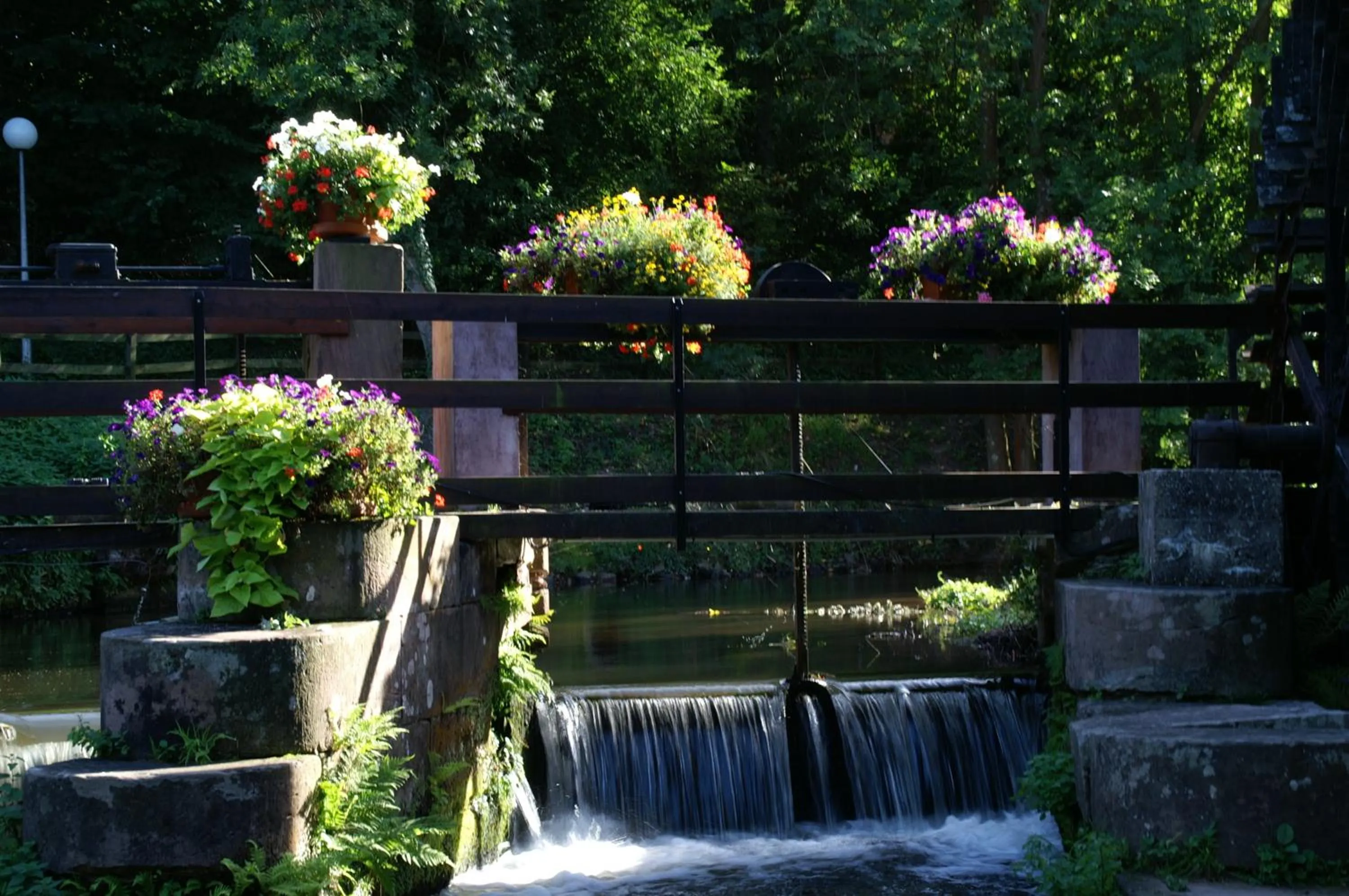 Garden in Le Moulin de la Walk