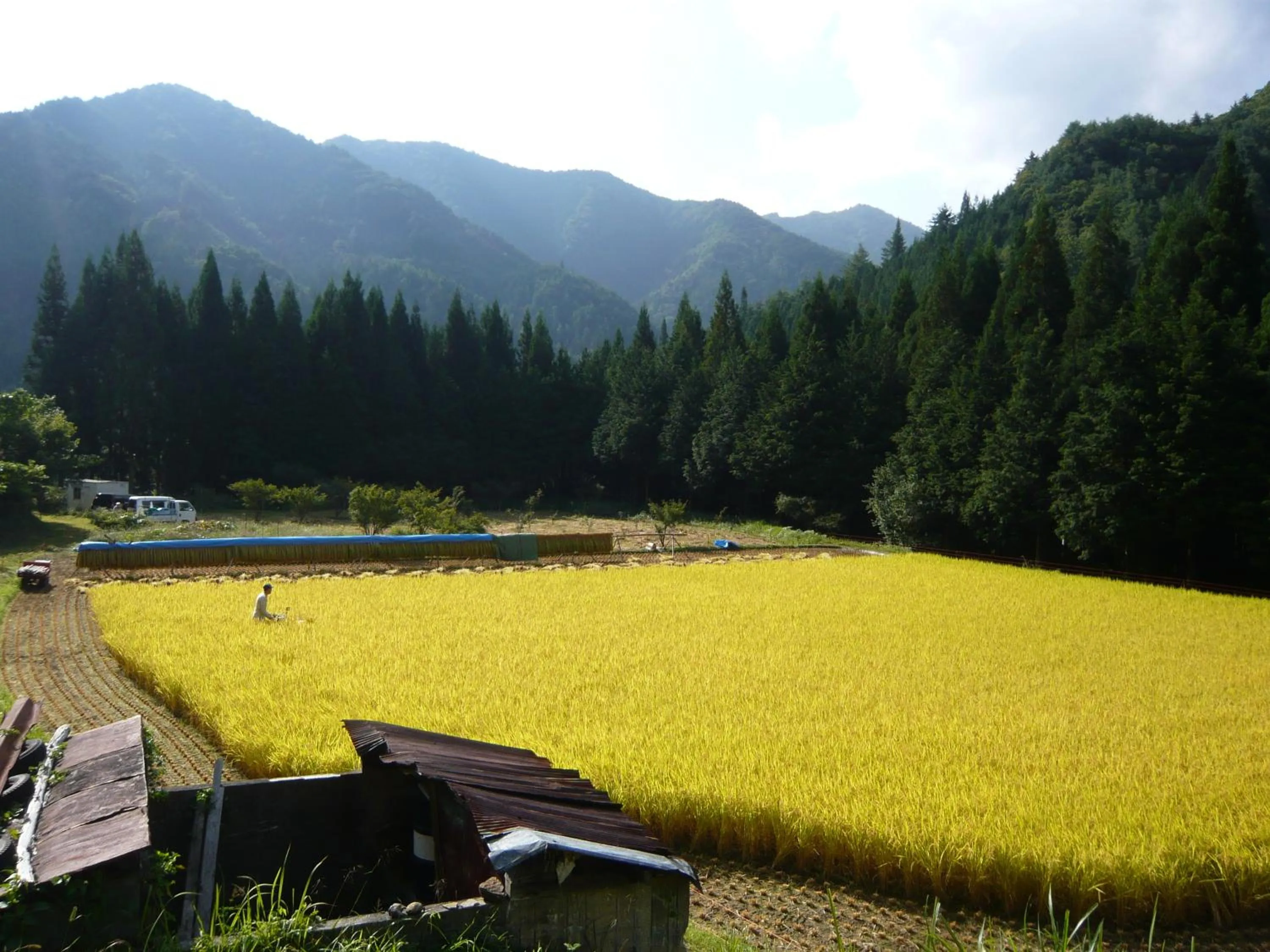 Area and facilities in Yamazatonoiori Soene