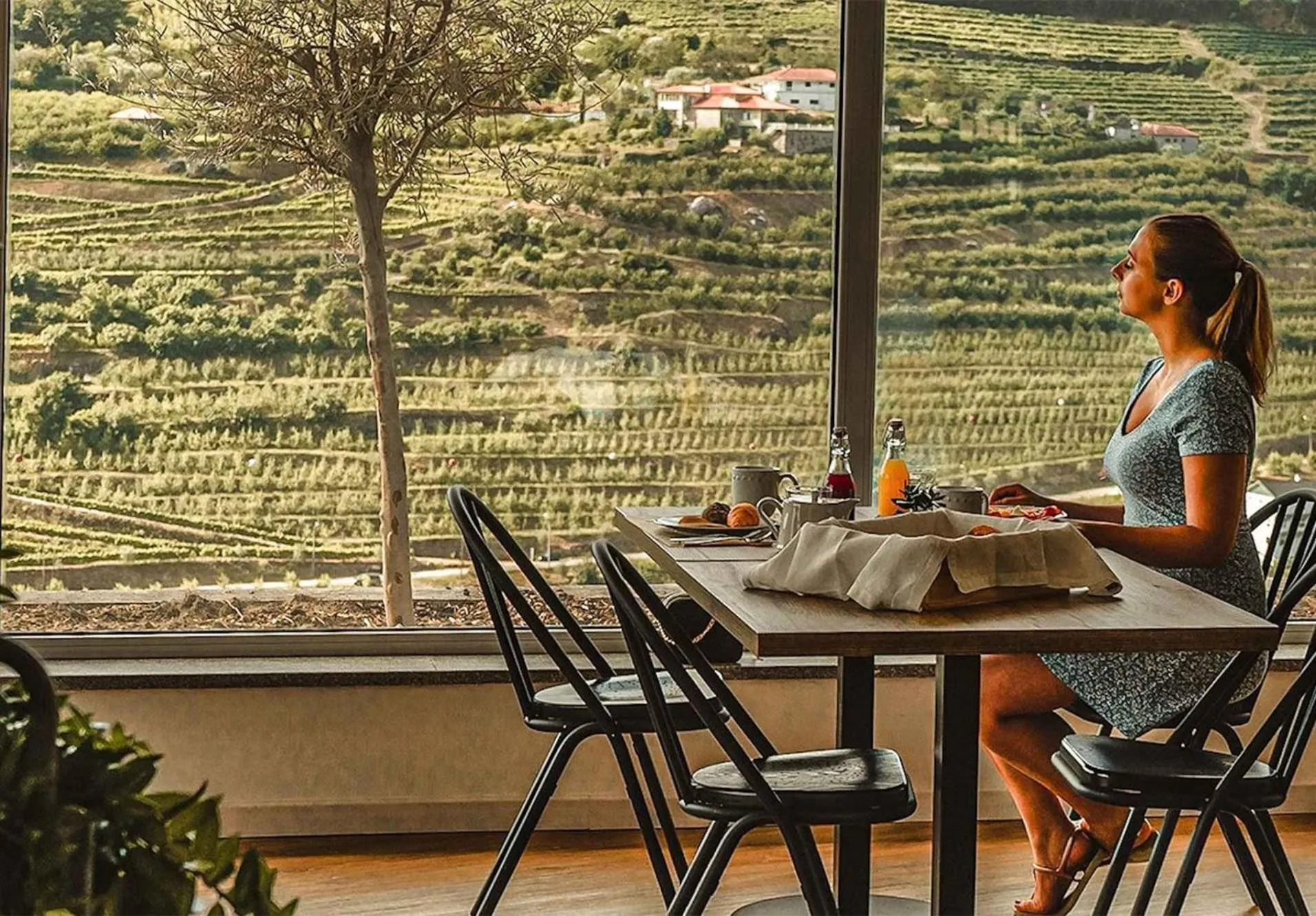 Restaurant/places to eat in Lamego Hotel & Life