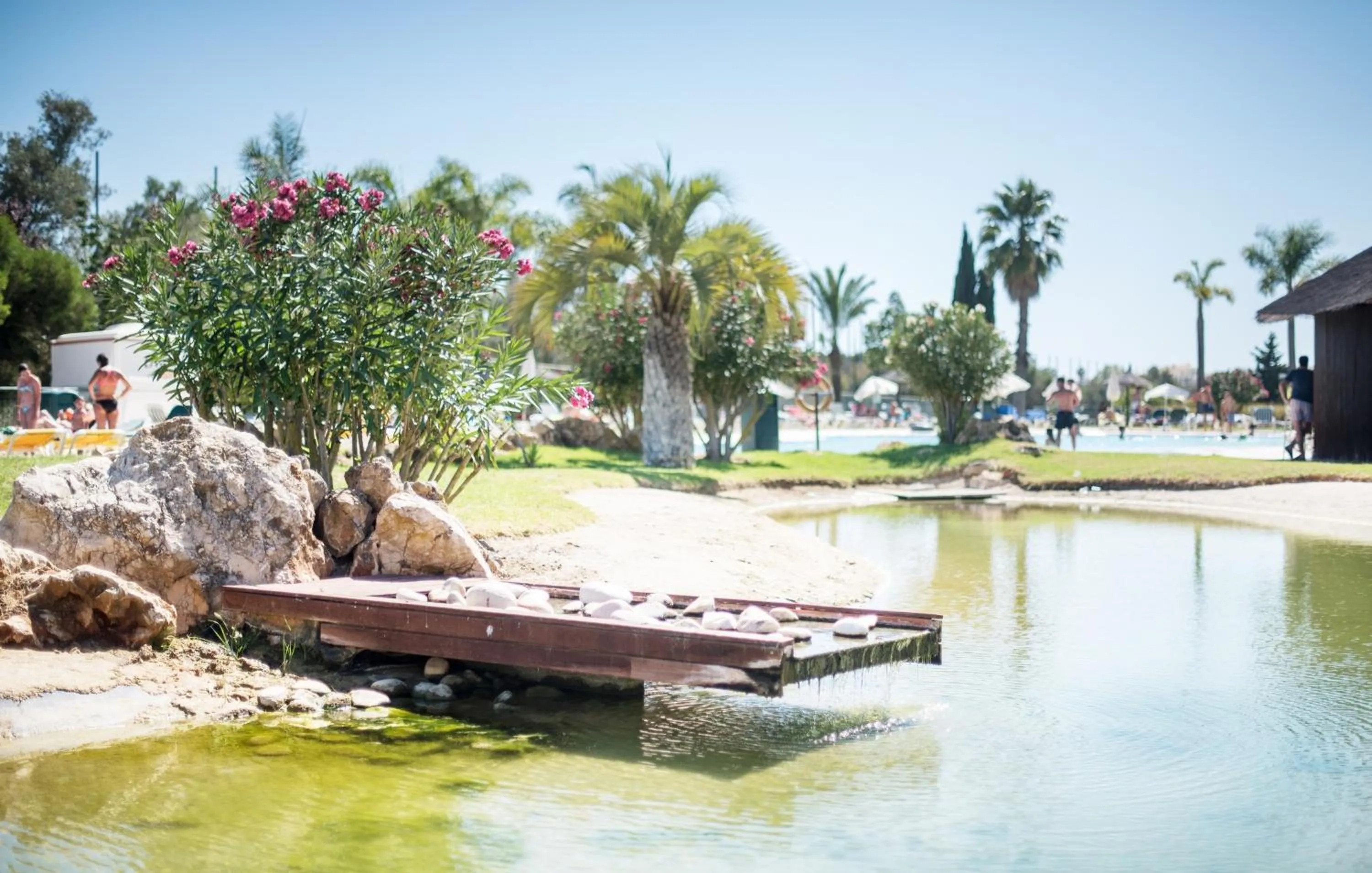Natural landscape in Yellow Alvor Garden - All Inclusive