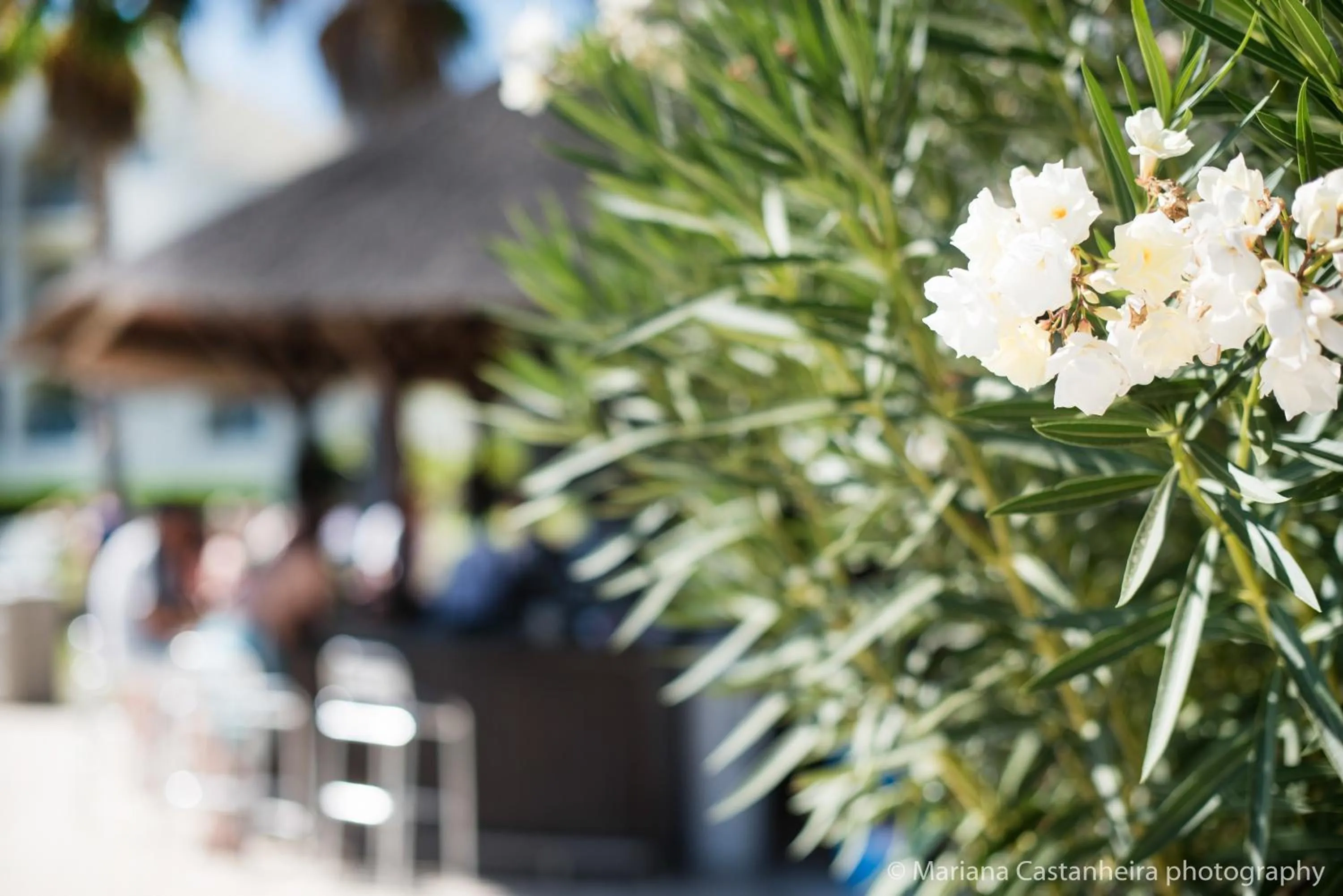 Garden in Yellow Alvor Garden - All Inclusive