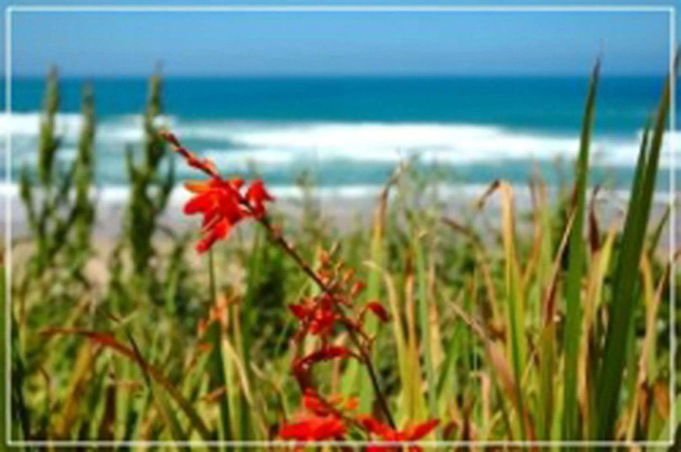 View (from property/room) in Mes Amis Beach Guest House