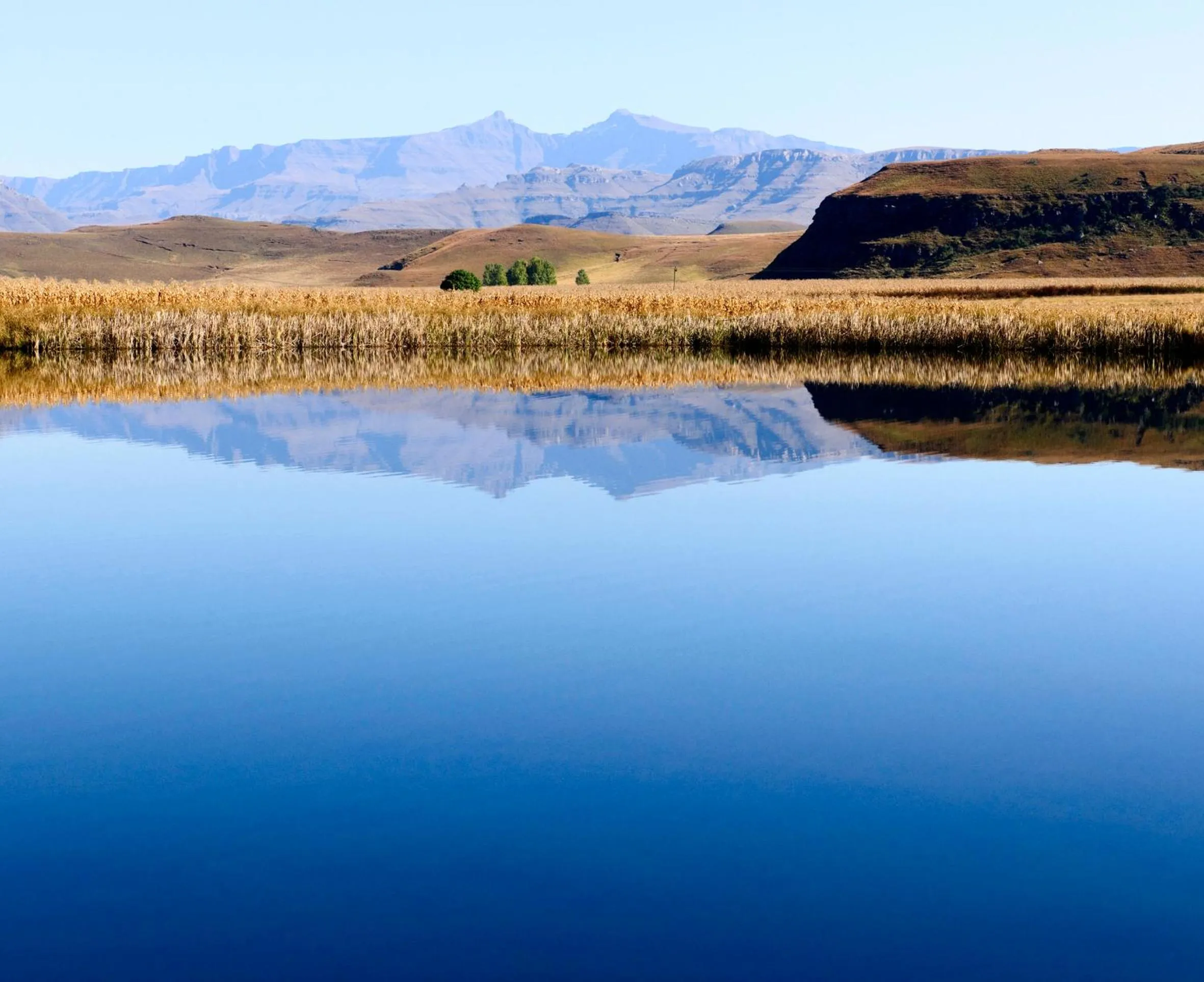 Natural landscape in Moorcroft Manor Boutique Country Hotel