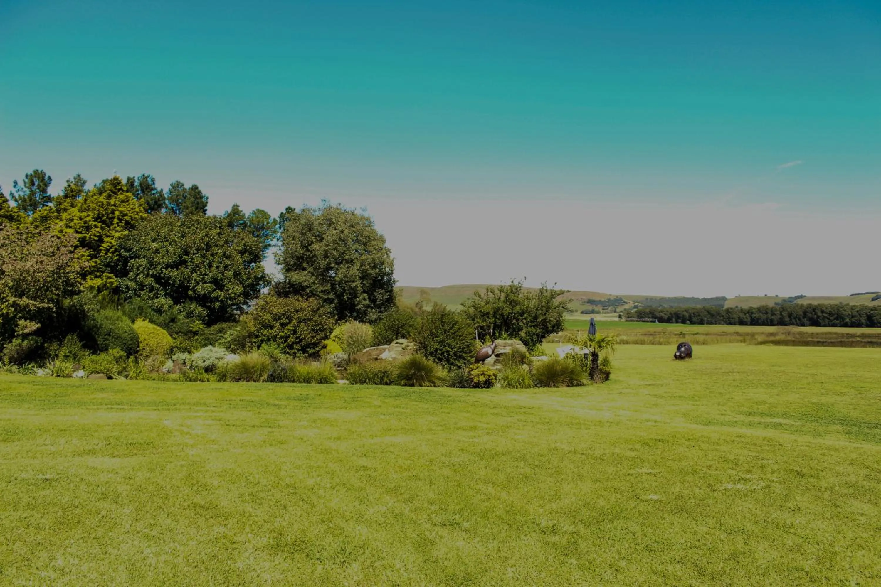 Natural landscape in Moorcroft Manor Boutique Country Hotel