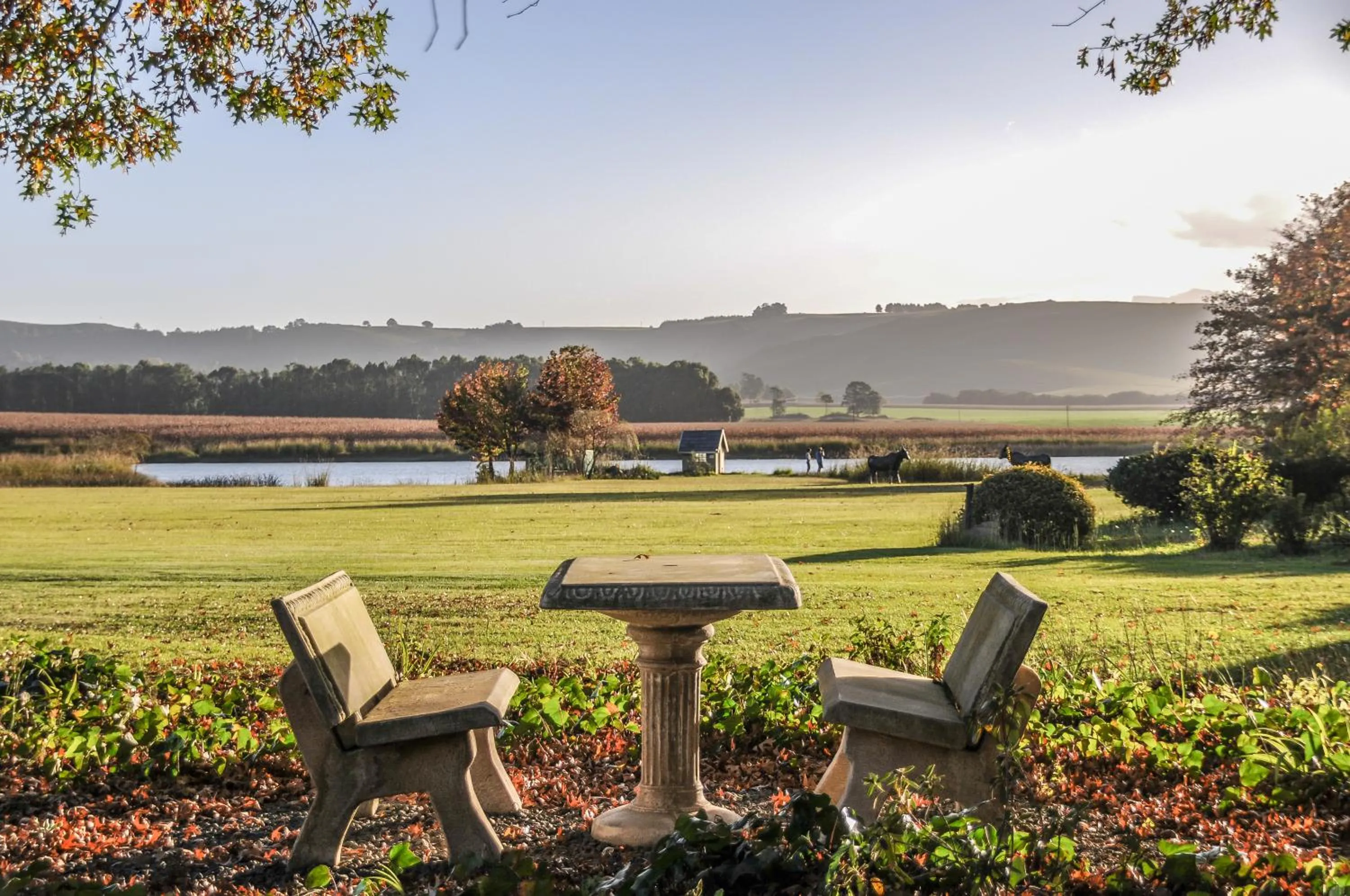 Garden in Moorcroft Manor Boutique Country Hotel