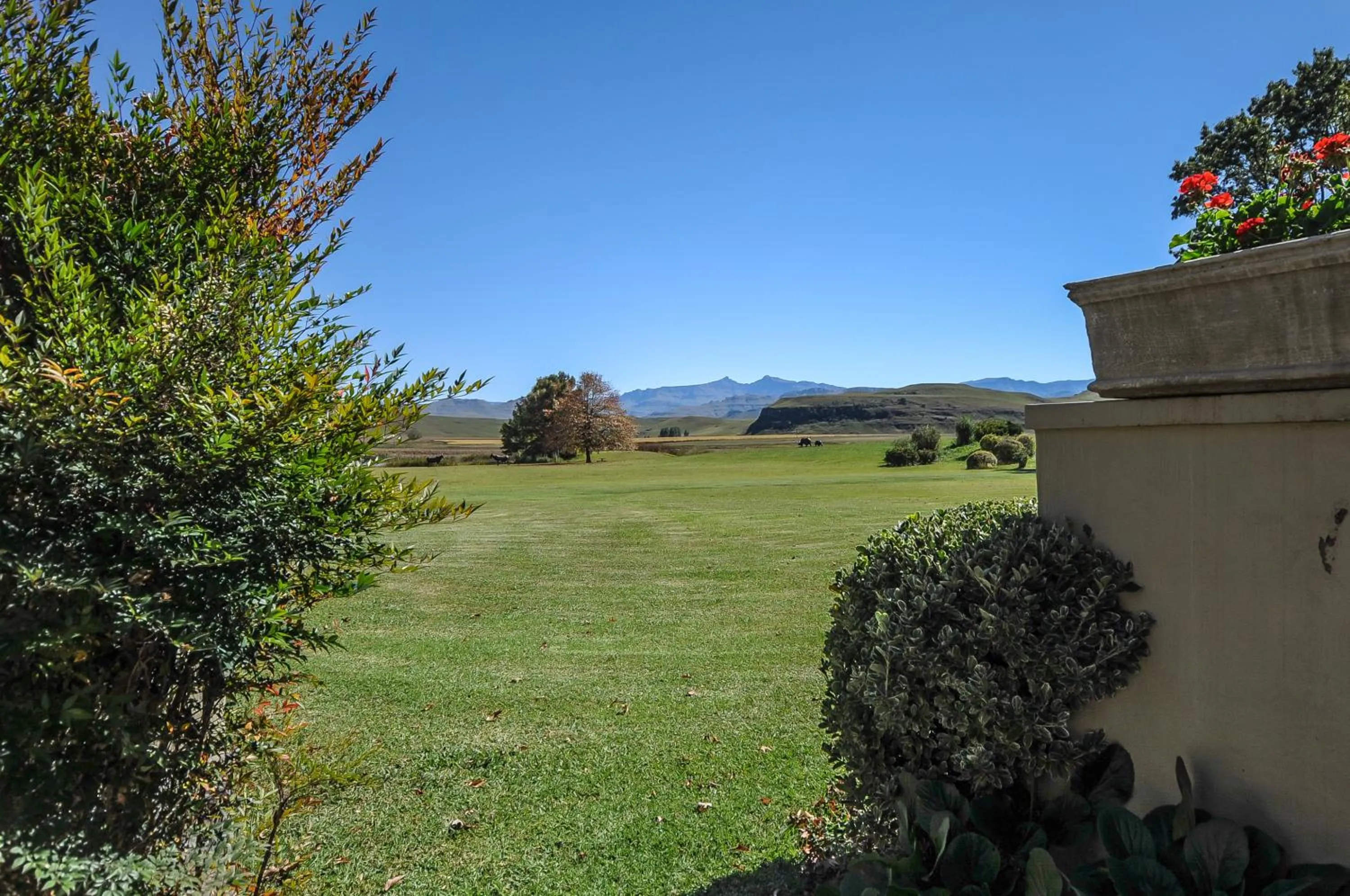 View (from property/room) in Moorcroft Manor Boutique Country Hotel