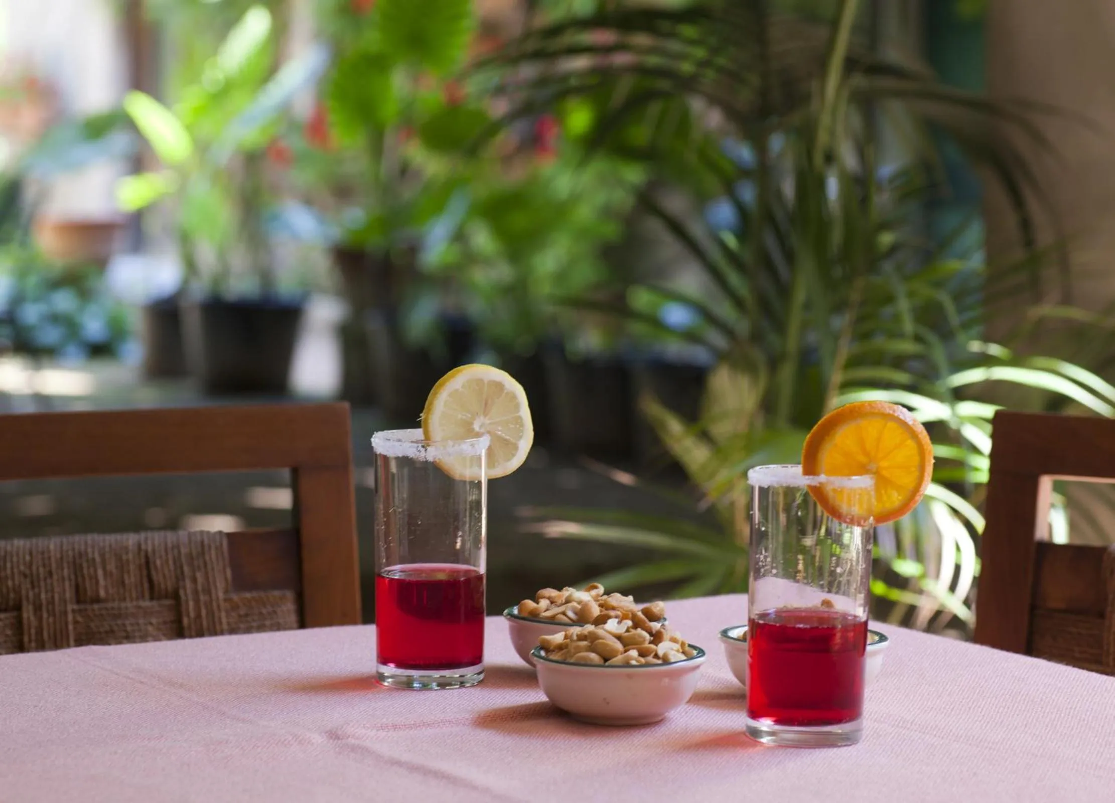 Lounge or bar in Albergo Stella