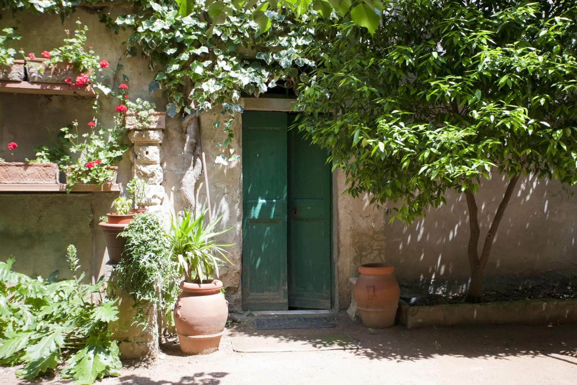 Garden in Albergo Stella