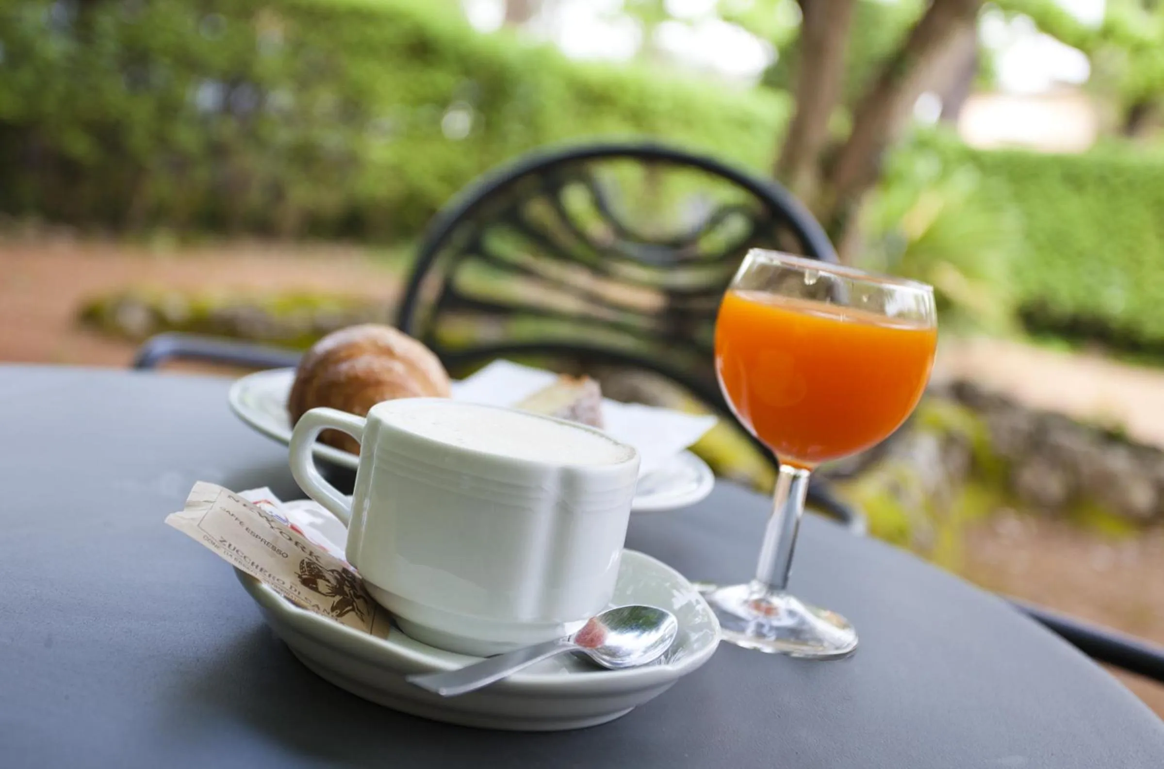 Garden in Albergo Stella