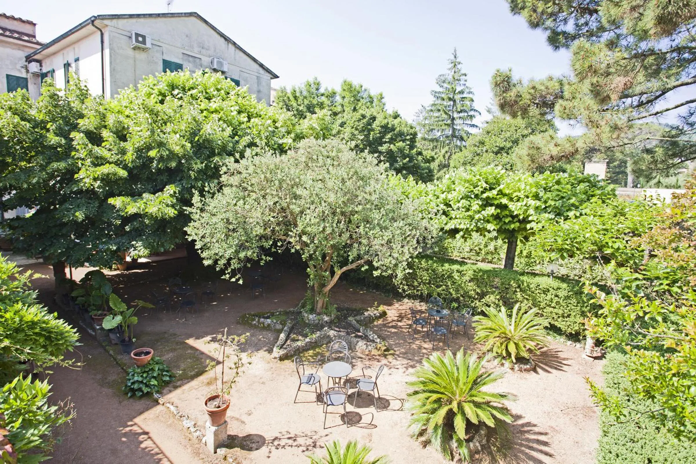 Garden in Albergo Stella