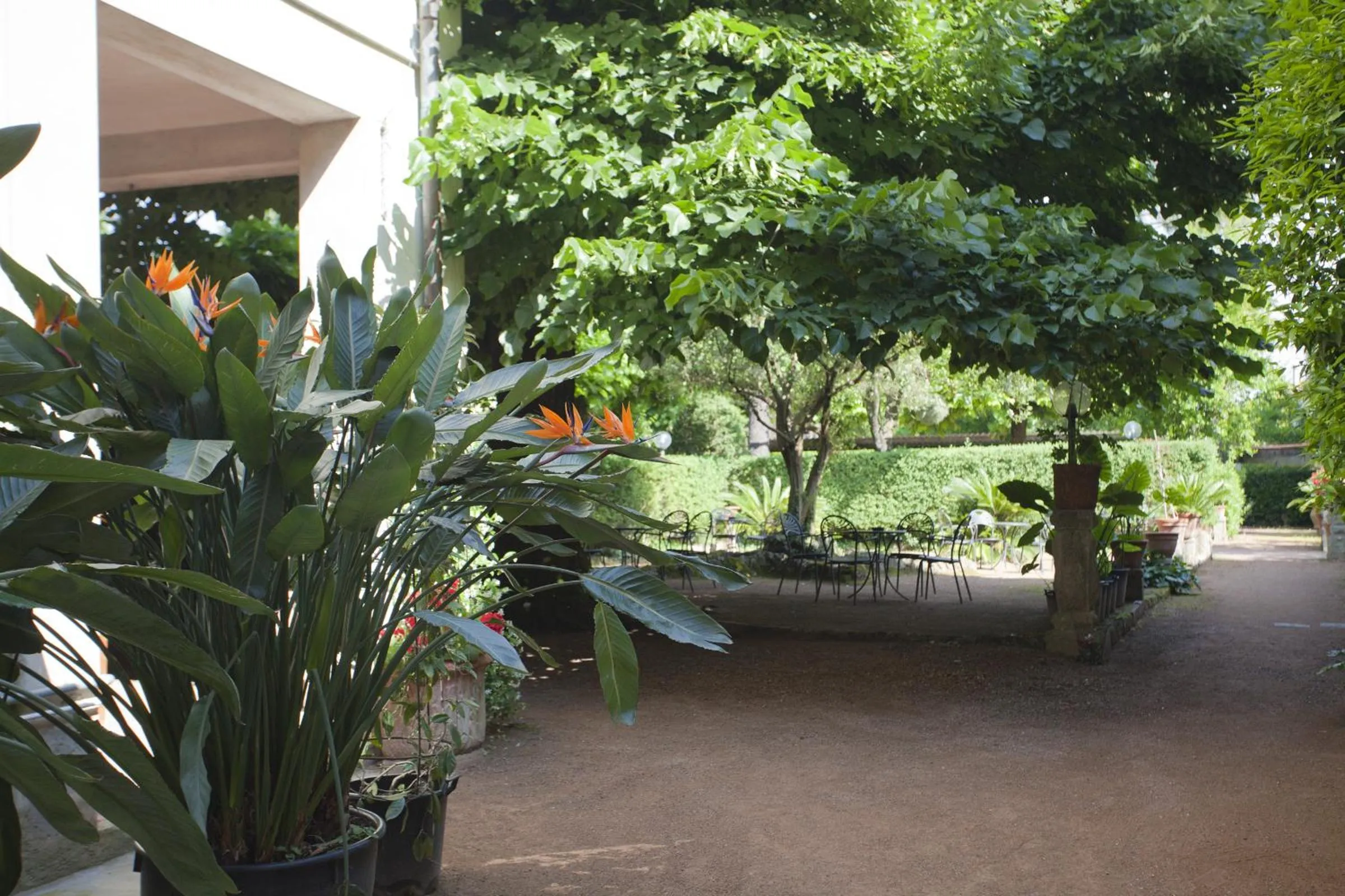 Garden in Albergo Stella
