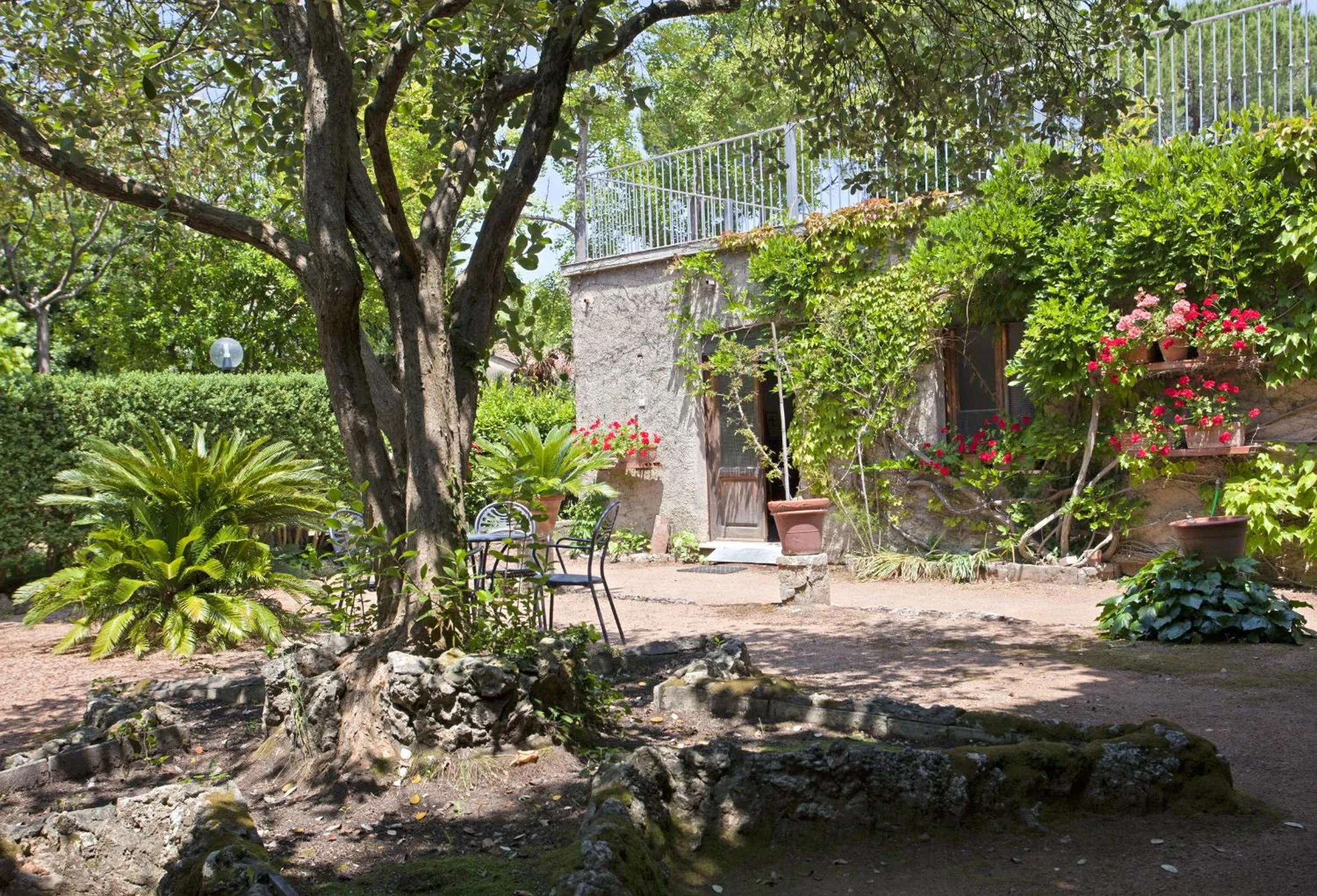 Garden in Albergo Stella