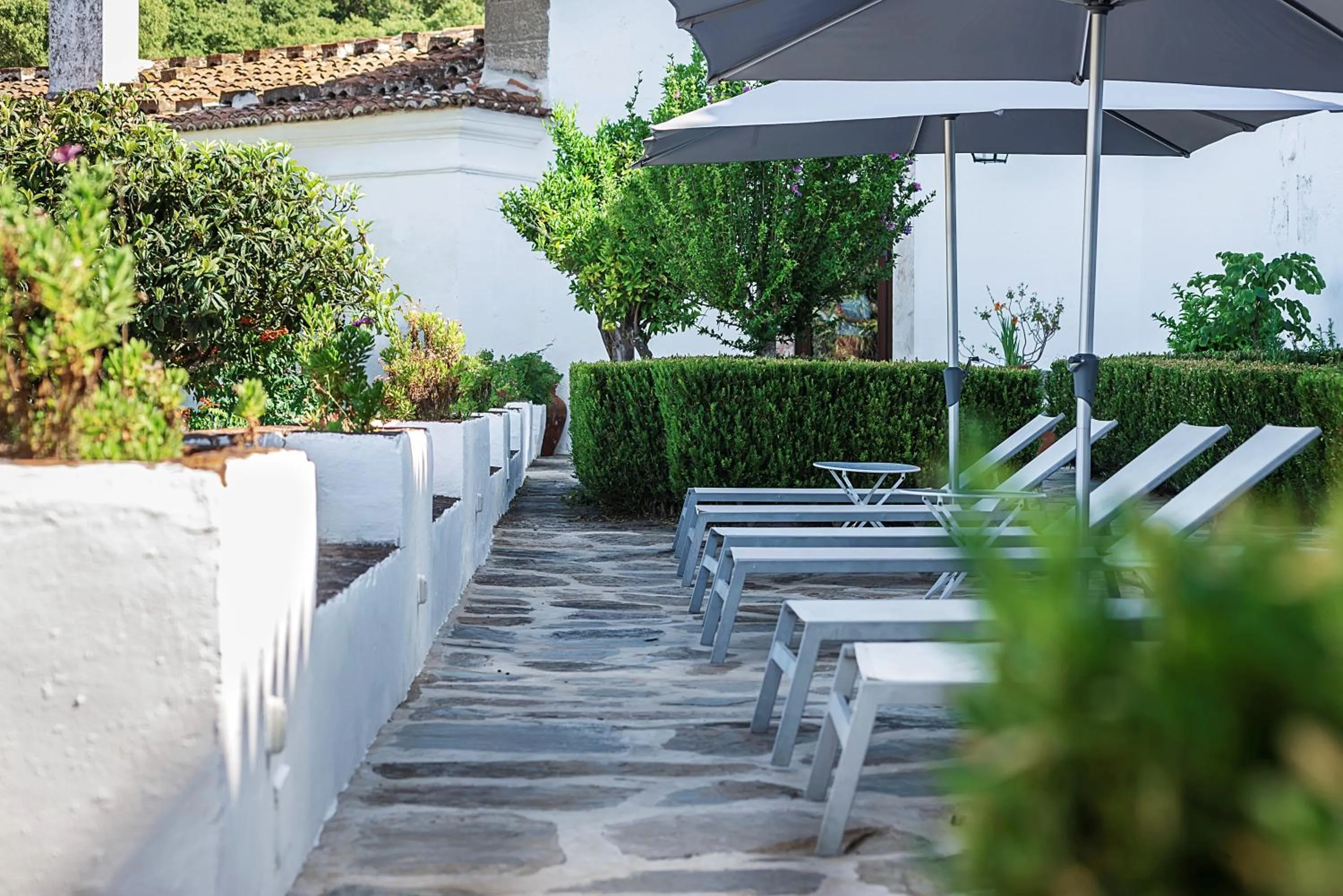 Garden in Convento Sao Paulo - Hotel Rural