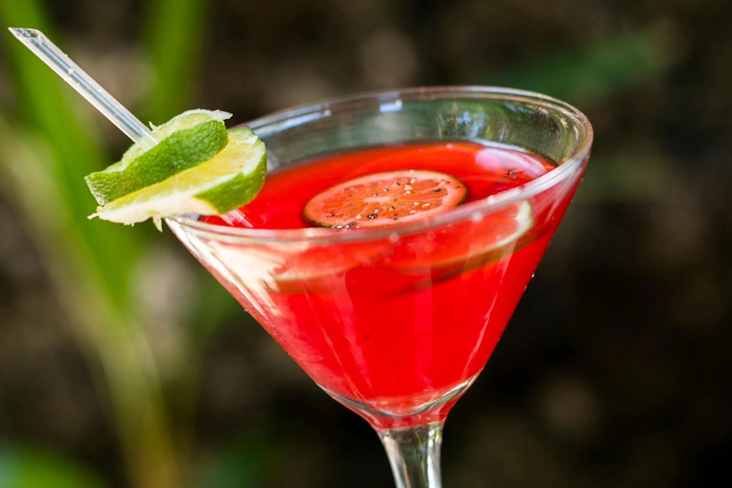 Drinks in Isla Tijereto