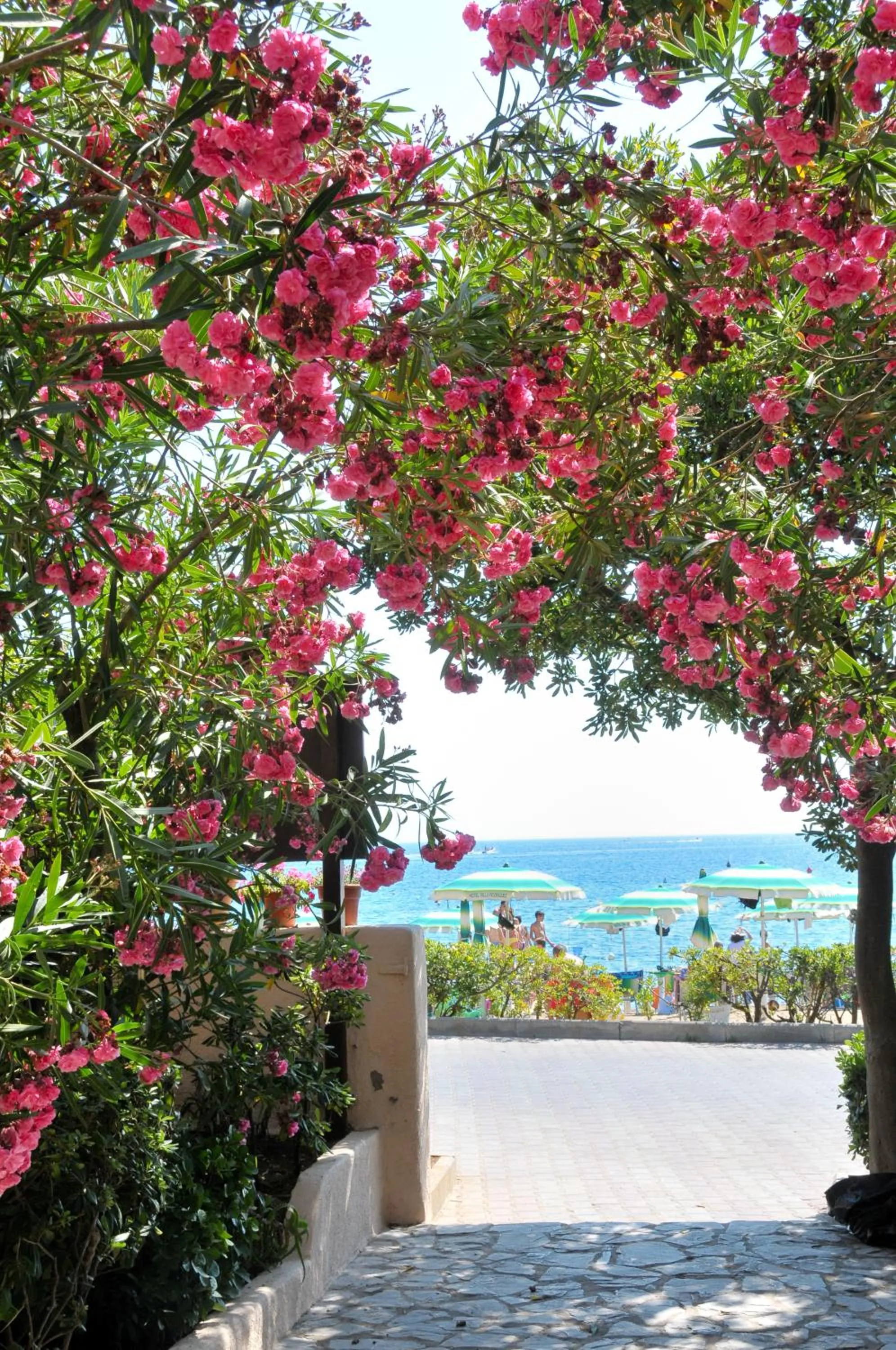Facade/entrance in Hotel Villa Rodriguez