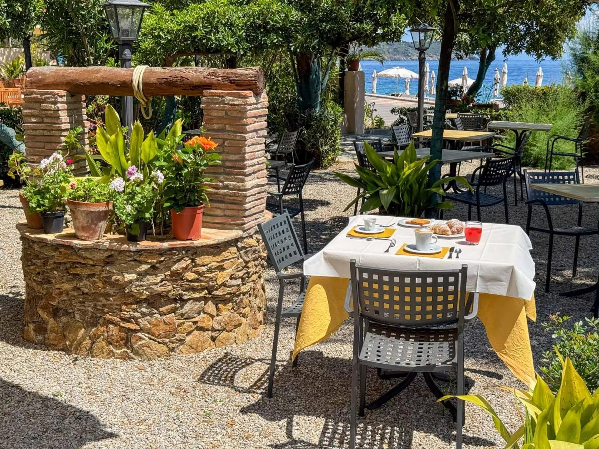 Garden view in Hotel Villa Rodriguez