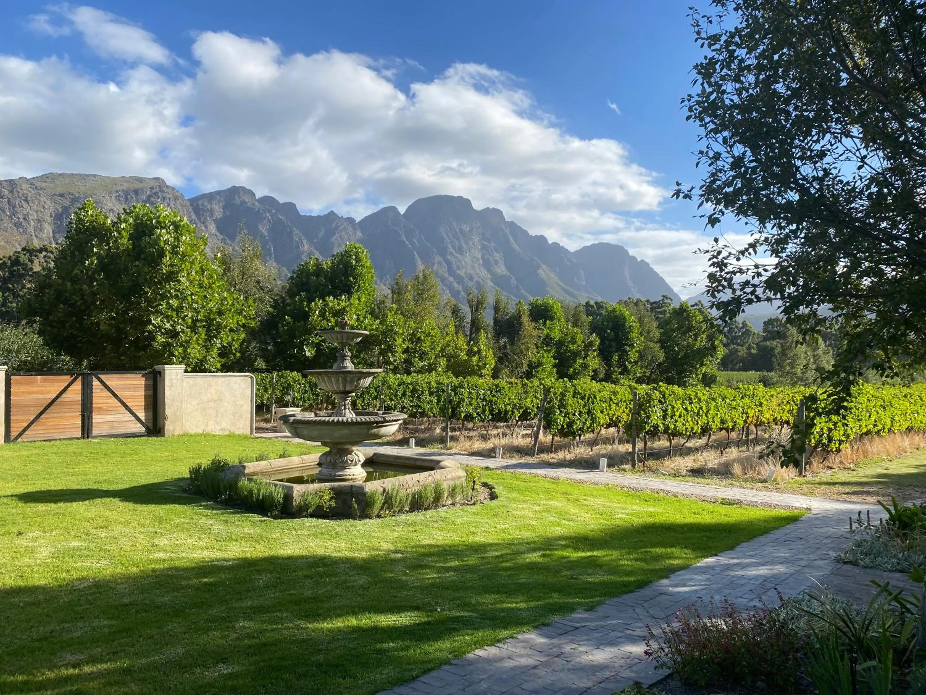 Garden view in Franschhoek Rose Cottages