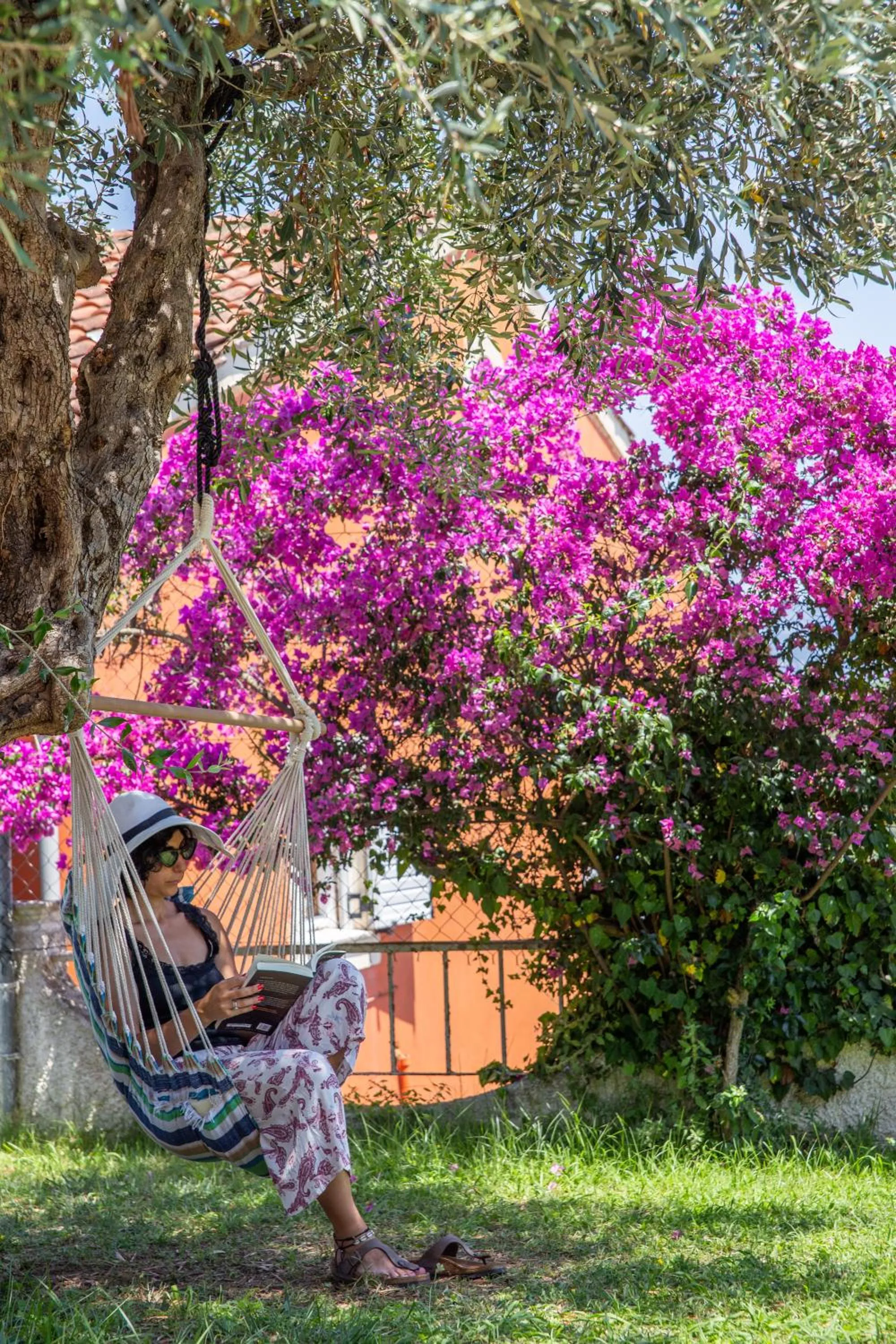 Garden in Victoria Hill Hotel