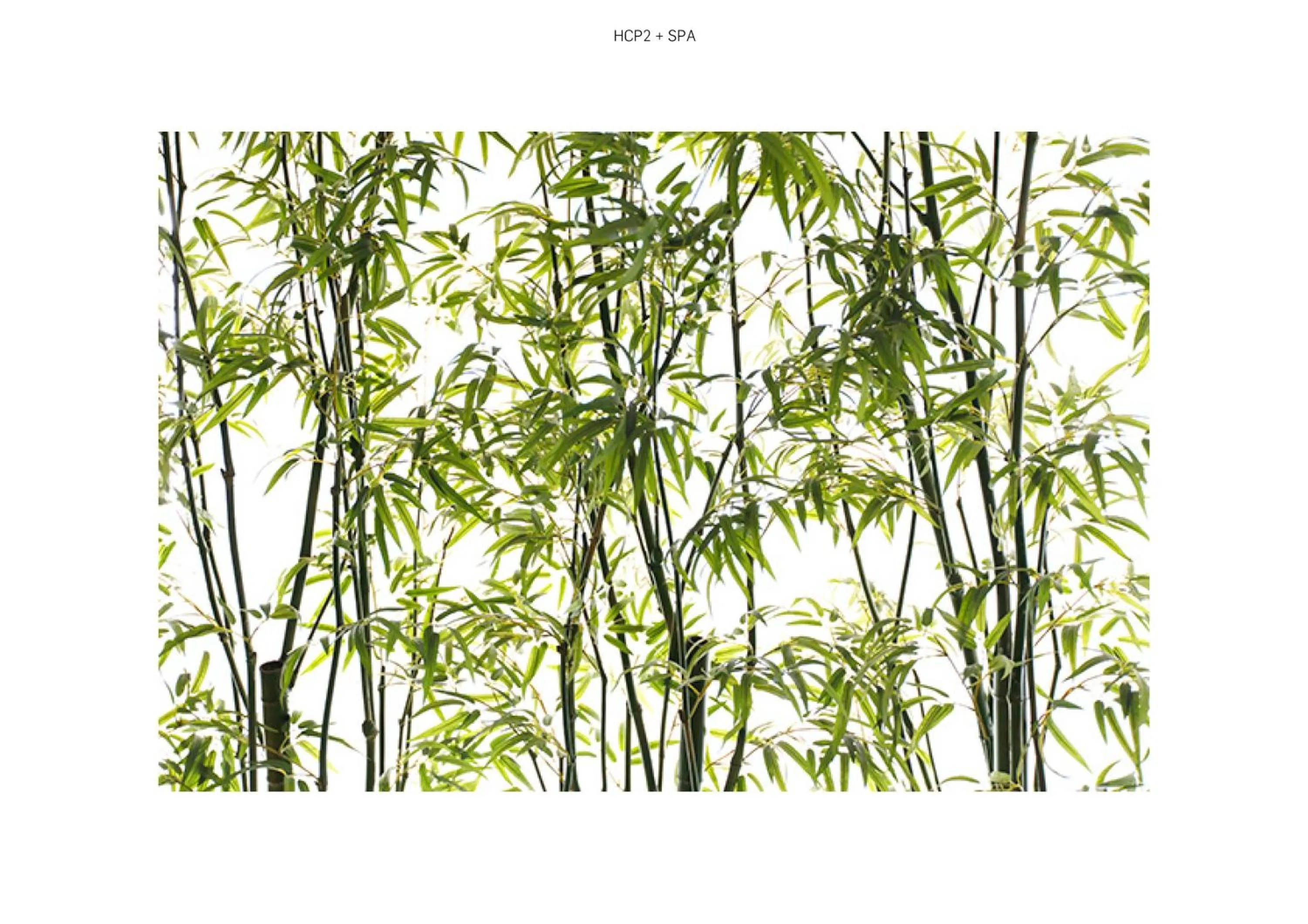 Decorative detail in Hotel Costa de Prata 2 & Spa