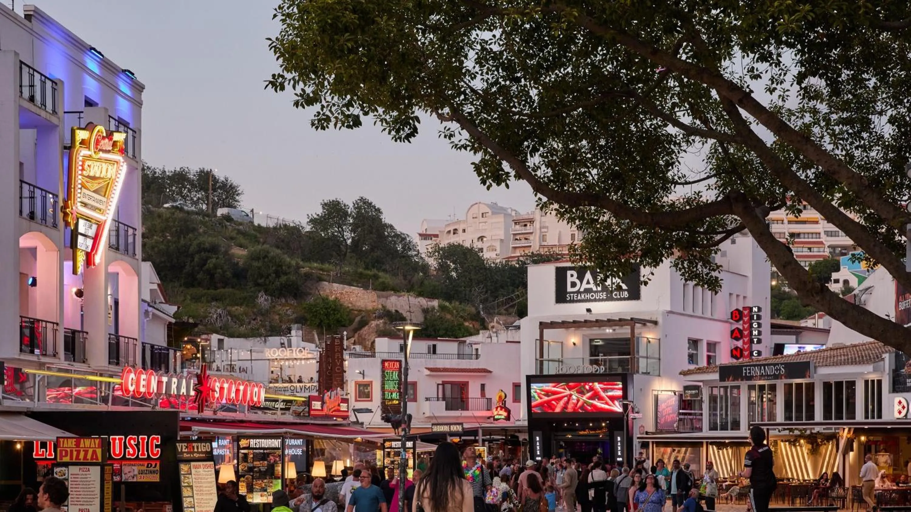 Area and facilities in Hotel Indigo Albufeira by IHG