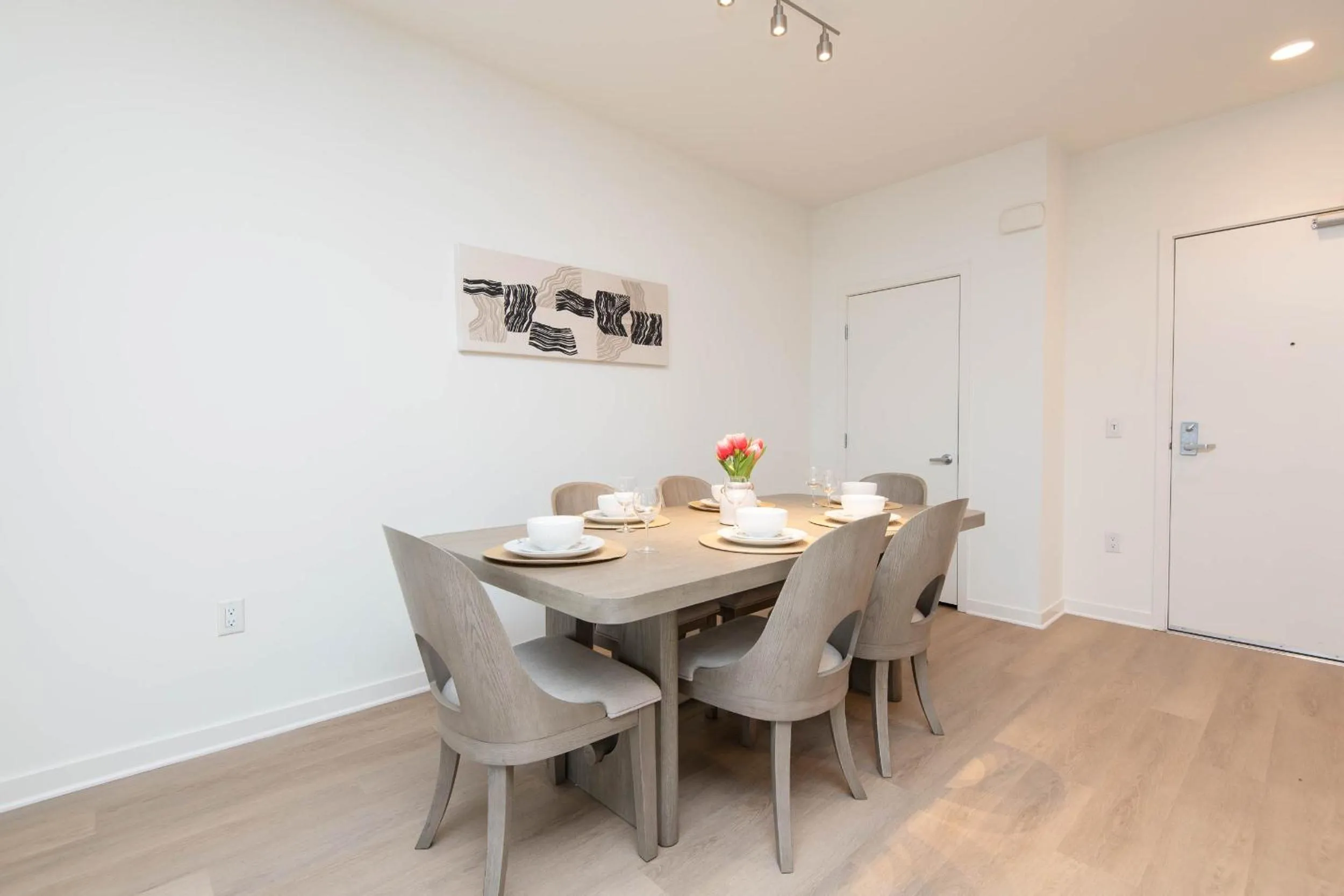 Modern Apartment Rentals