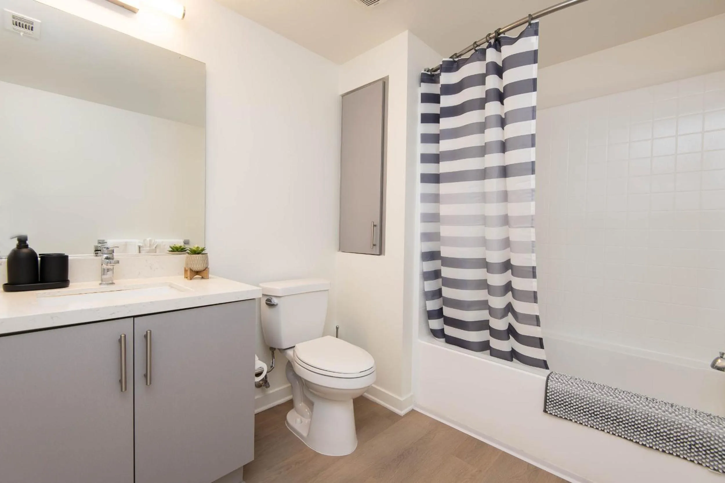 Modern Apartment Rentals