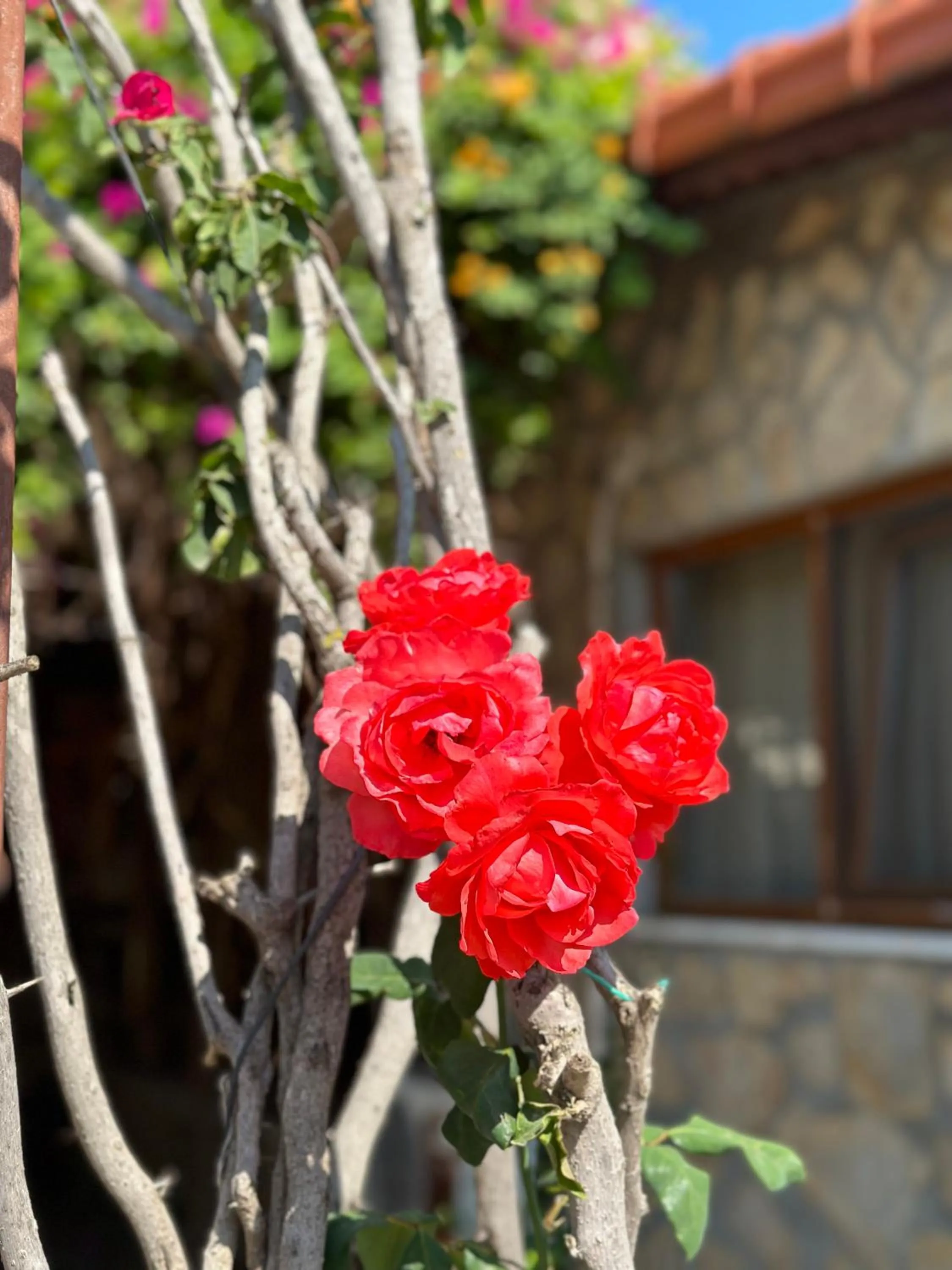 Off site in Bahaus Resort