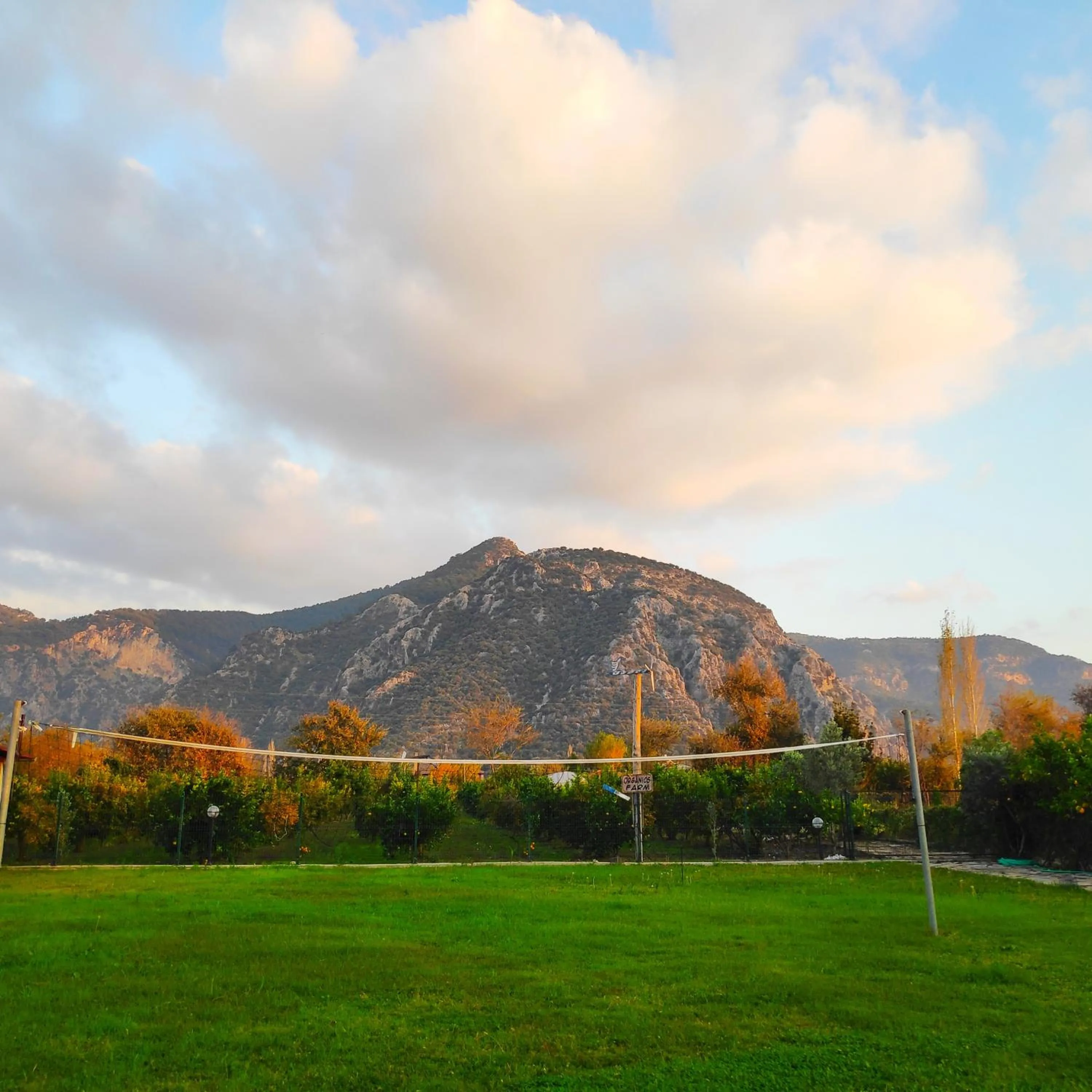 Garden view in Bahaus Resort
