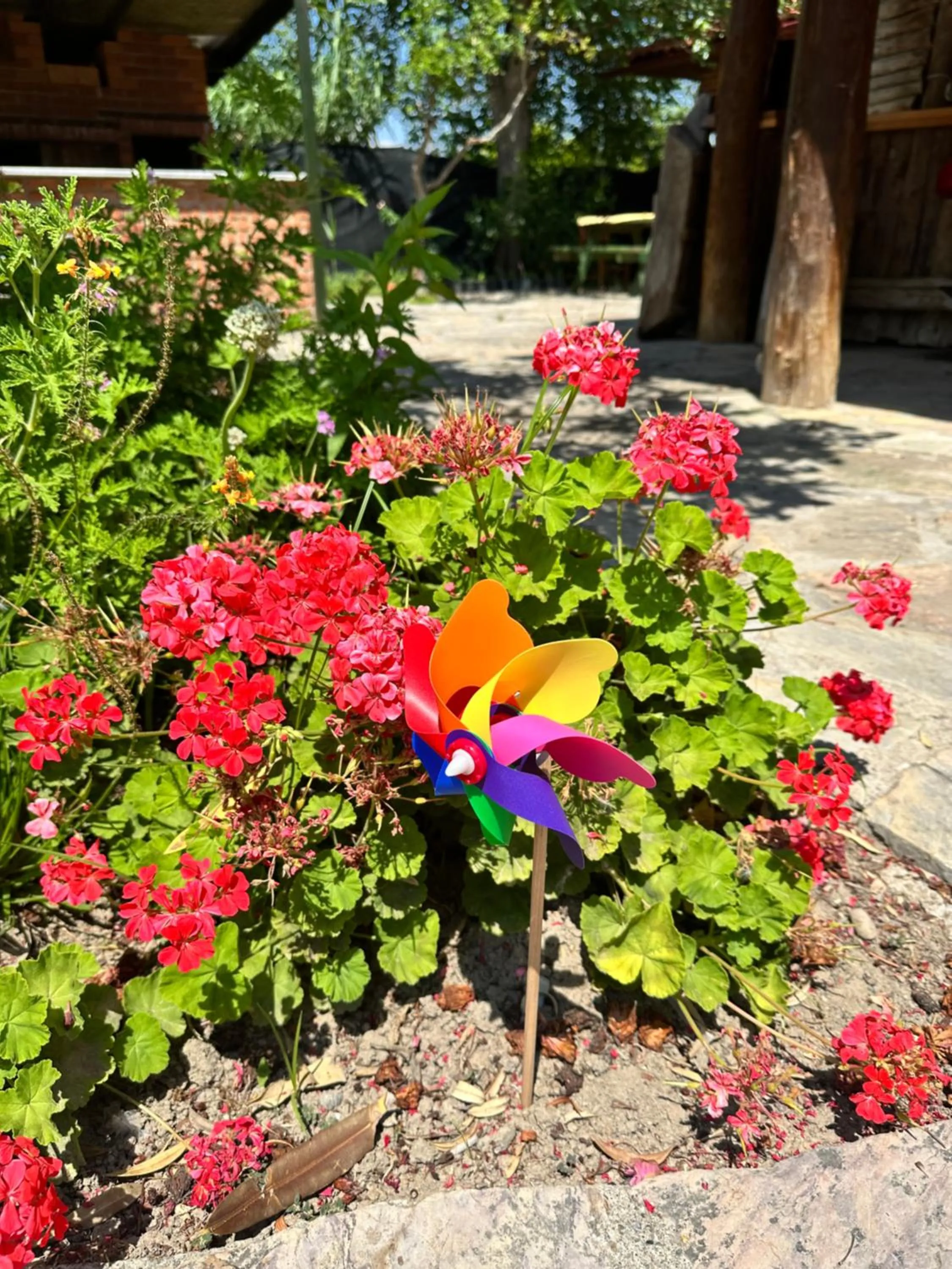 Garden in Bahaus Resort