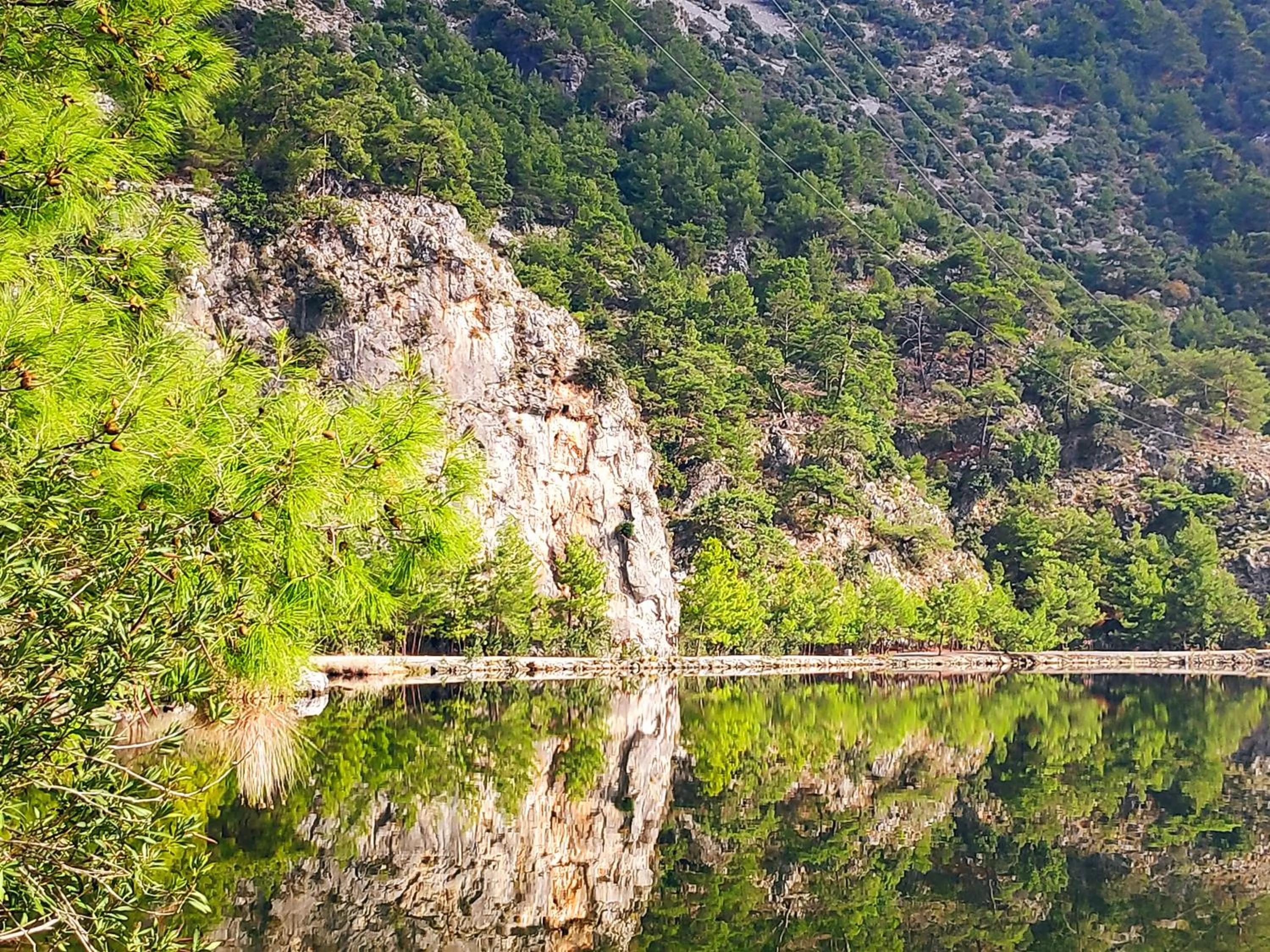 Neighbourhood in Bahaus Resort