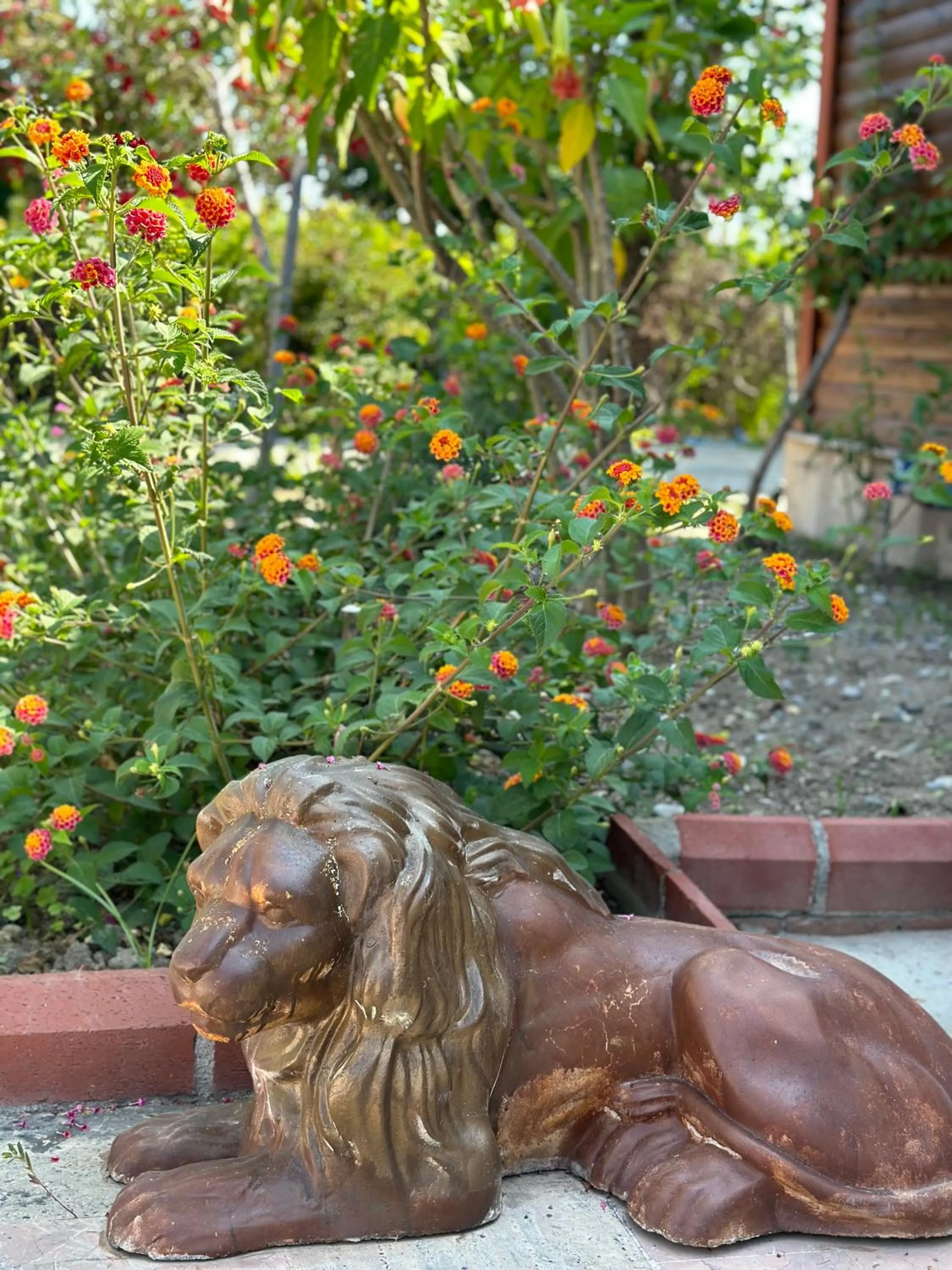 Off site in Bahaus Resort