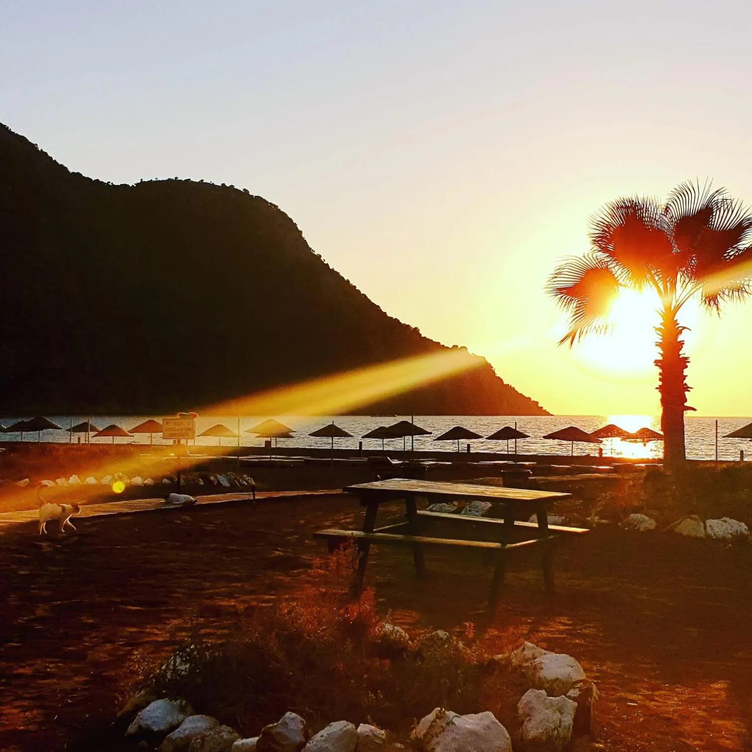 Beach in Bahaus Resort