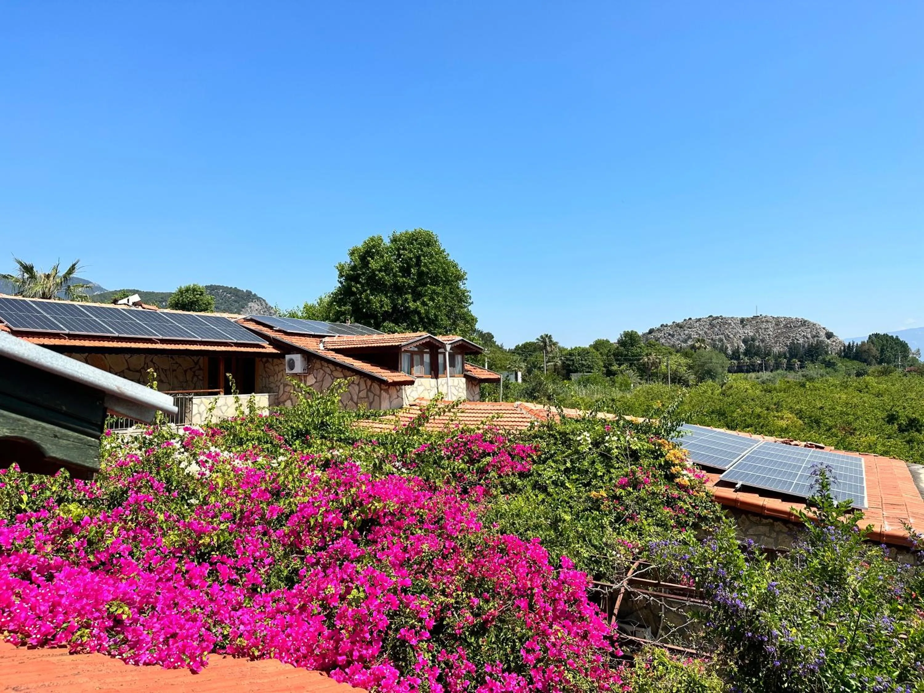 Natural landscape in Bahaus Resort