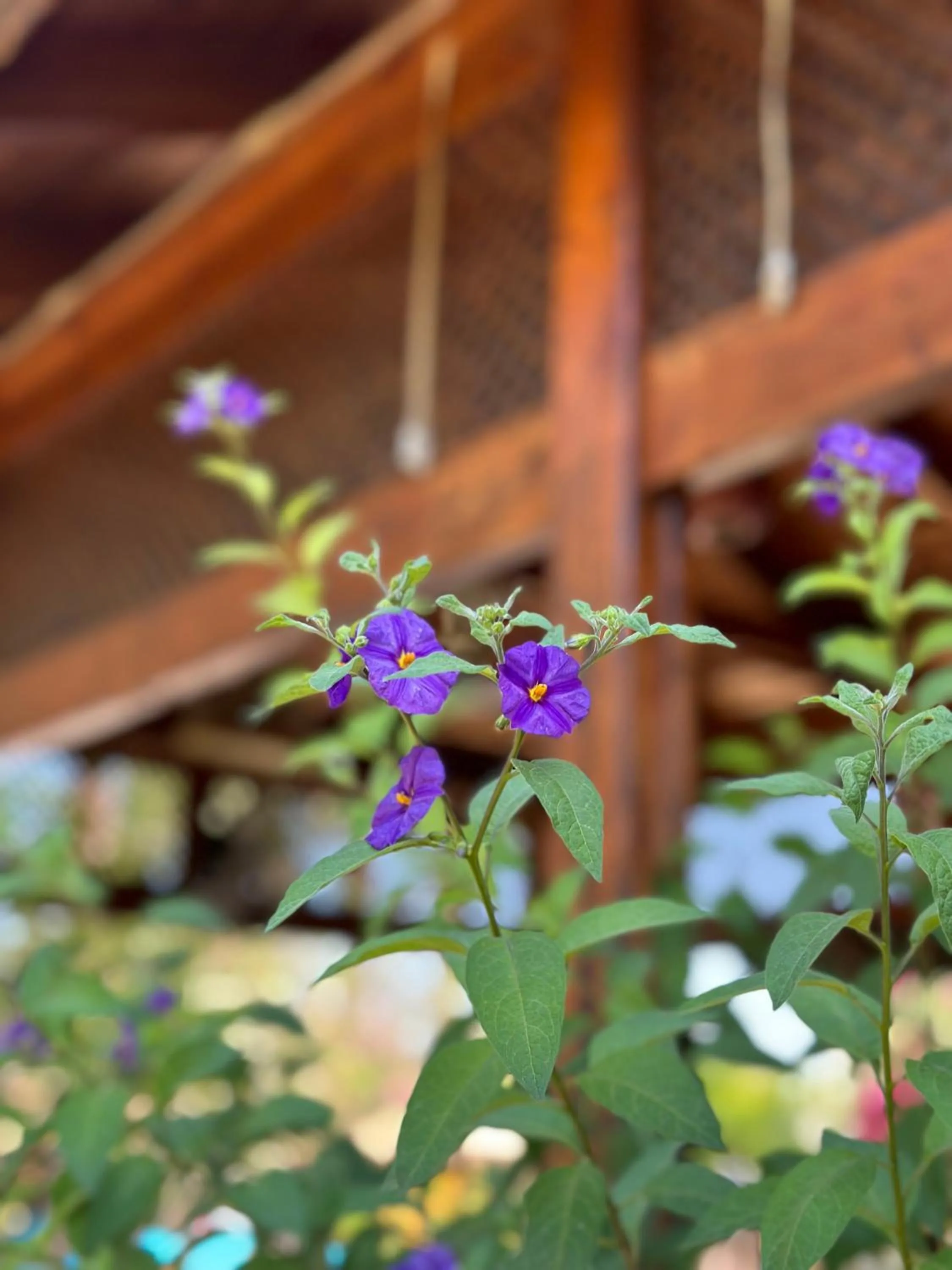 Off site in Bahaus Resort