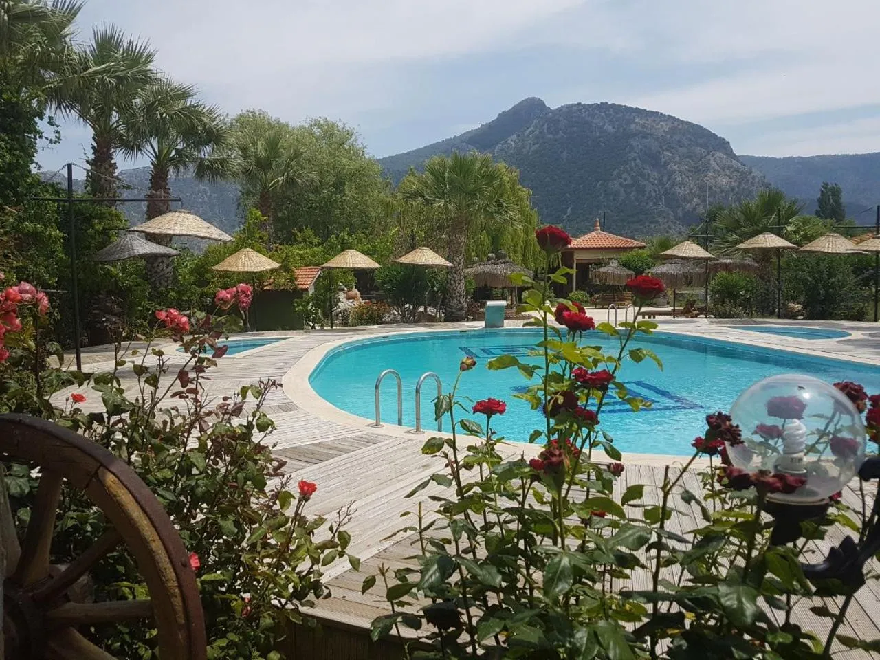 Garden view in Bahaus Resort