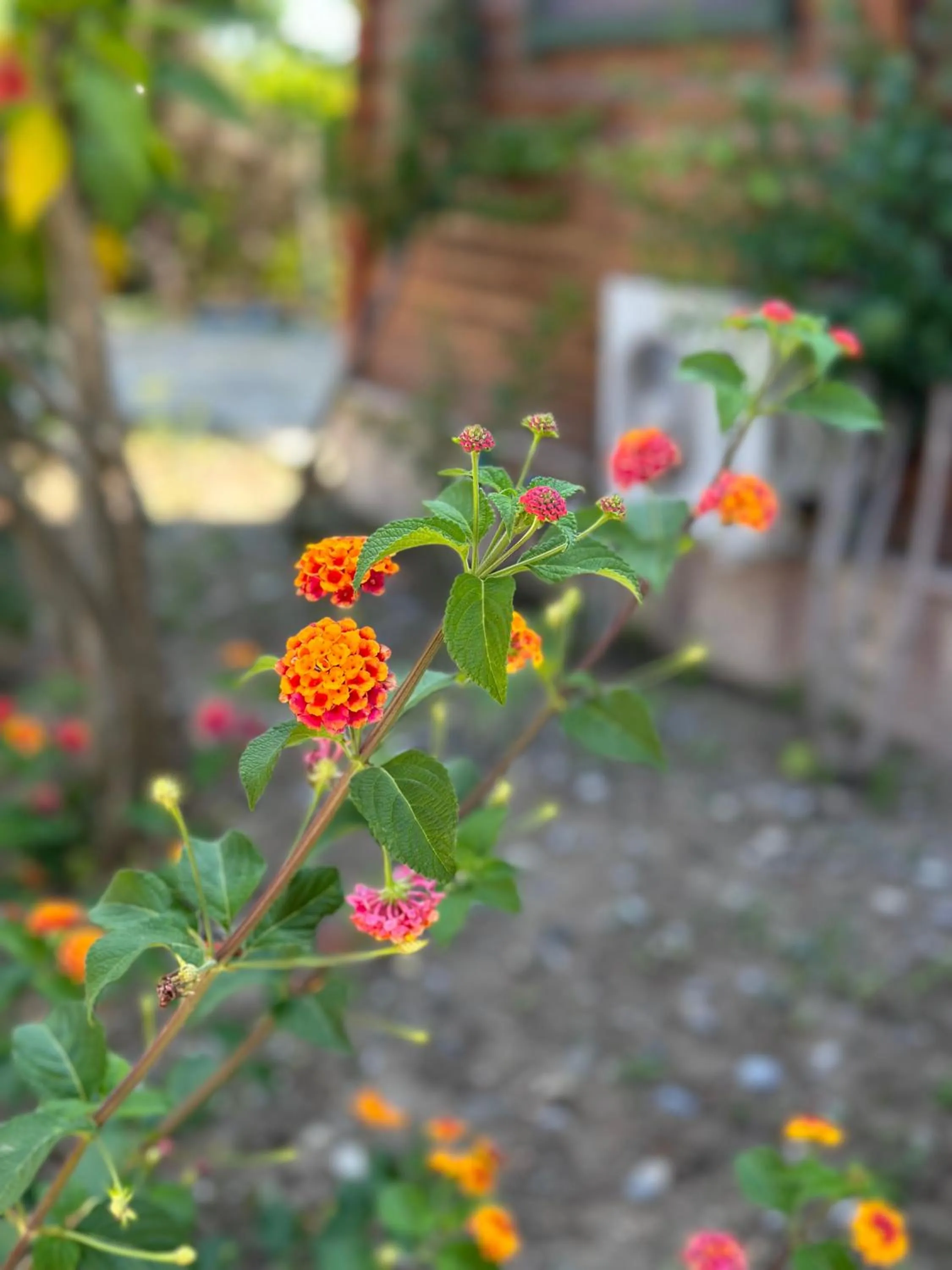 Off site in Bahaus Resort