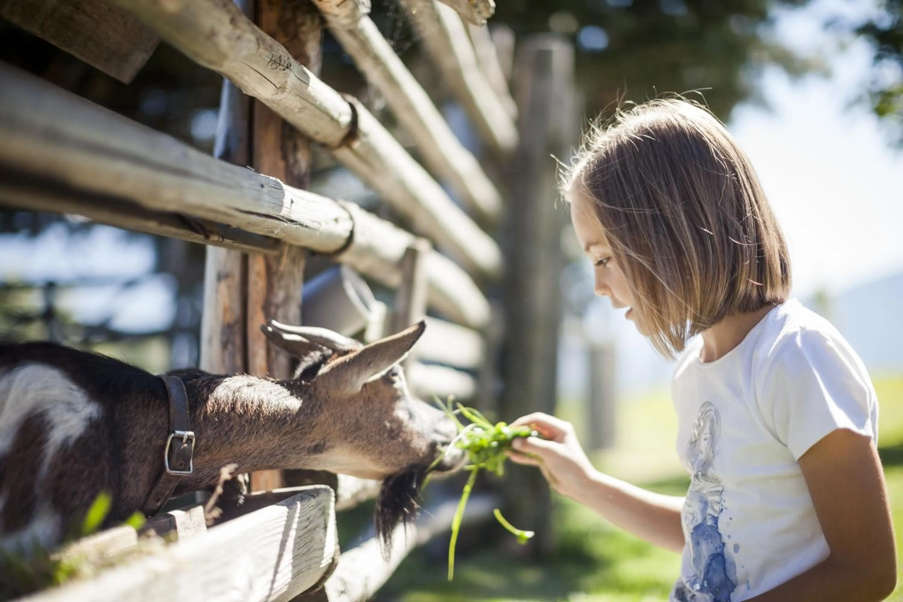 Facade/entrance in Family Home Alpenhof