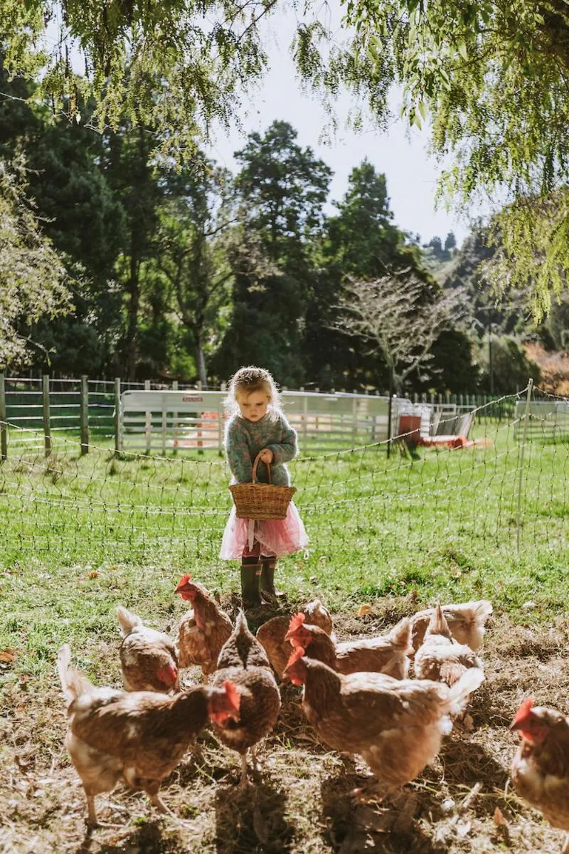 Animals in River Valley Lodge