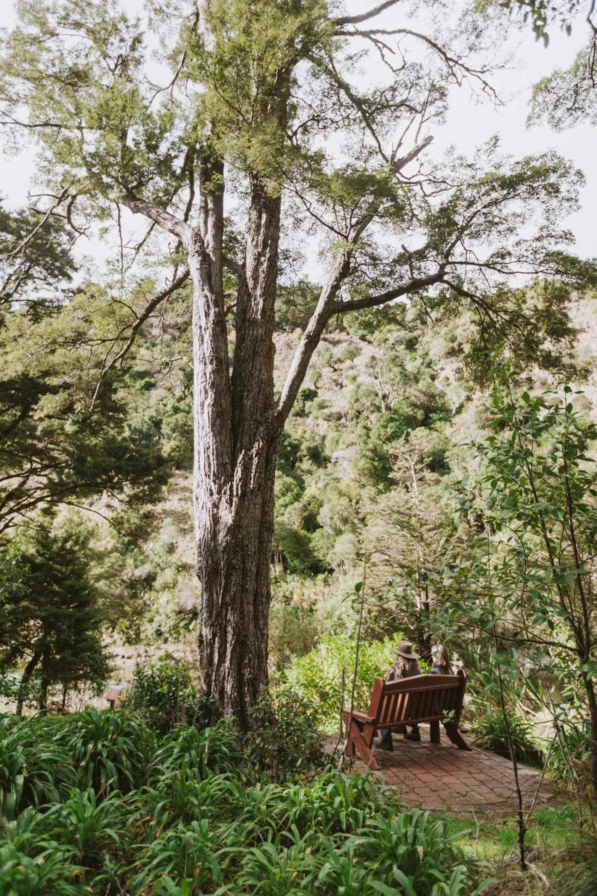 Natural landscape in River Valley Lodge