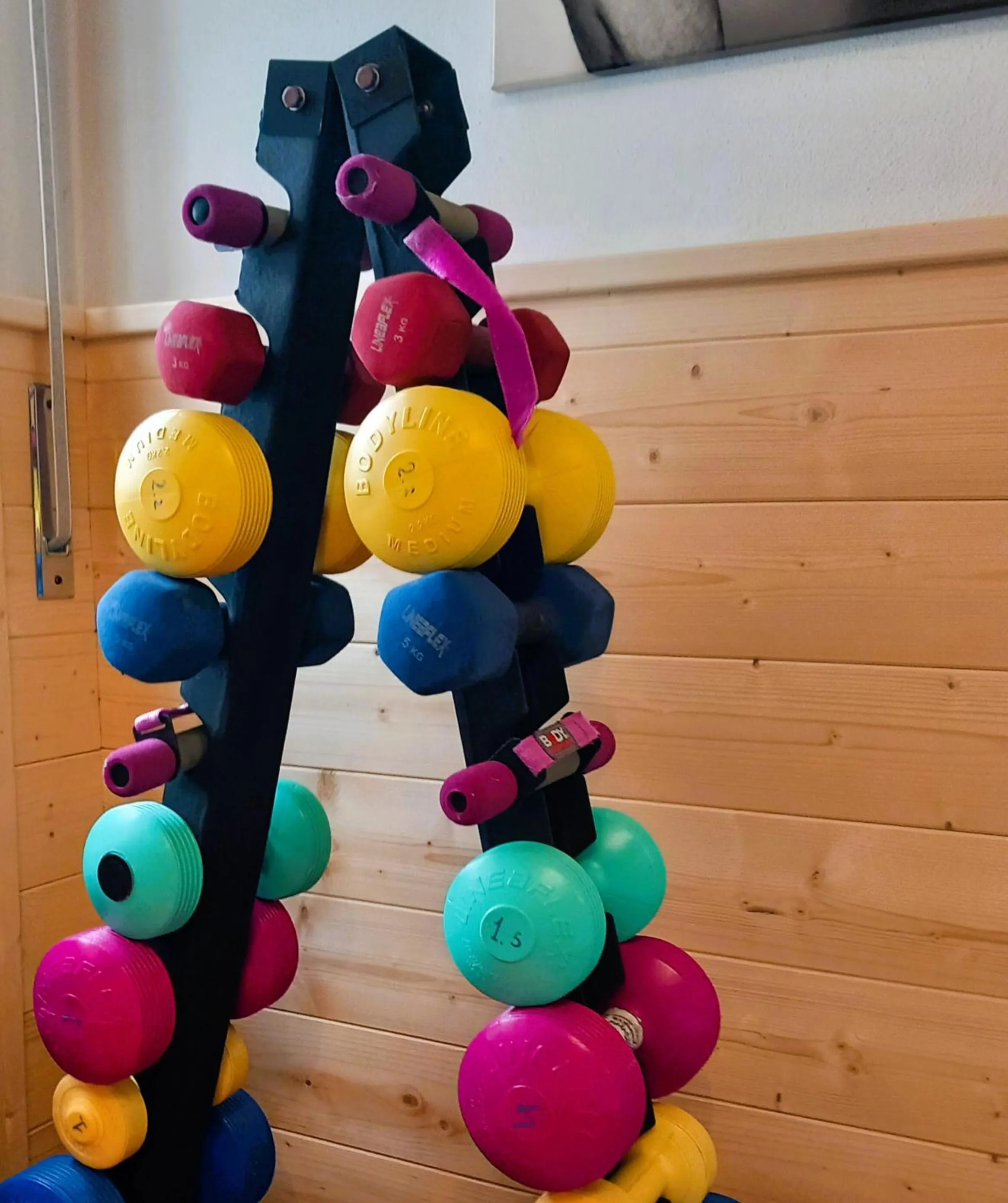 Fitness centre/facilities in Residence Biancaneve