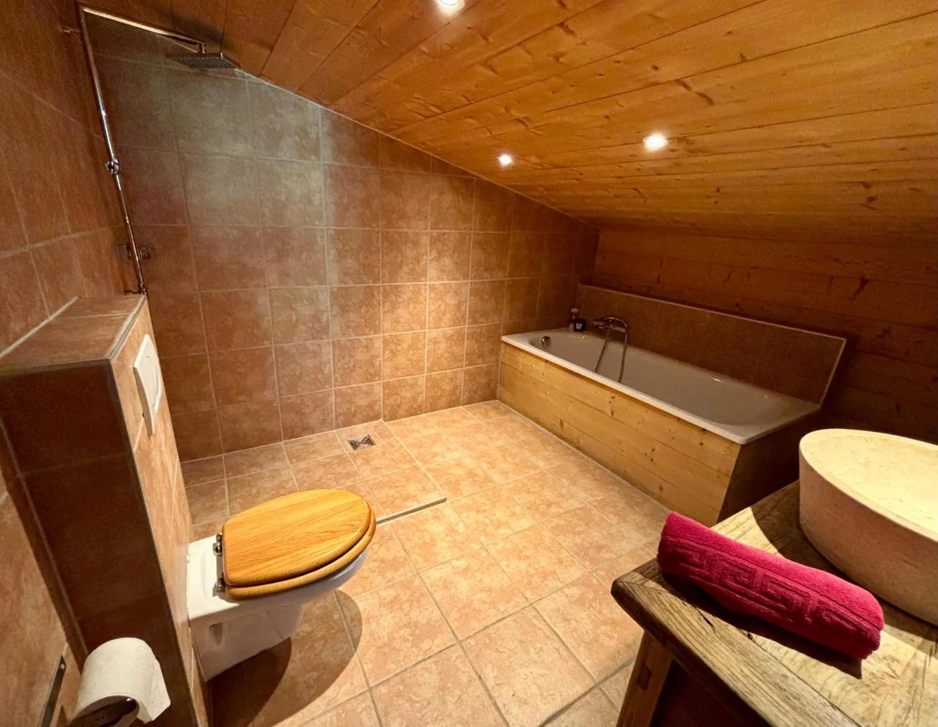 Shower in Guest House du Grand Paradis - On Piste