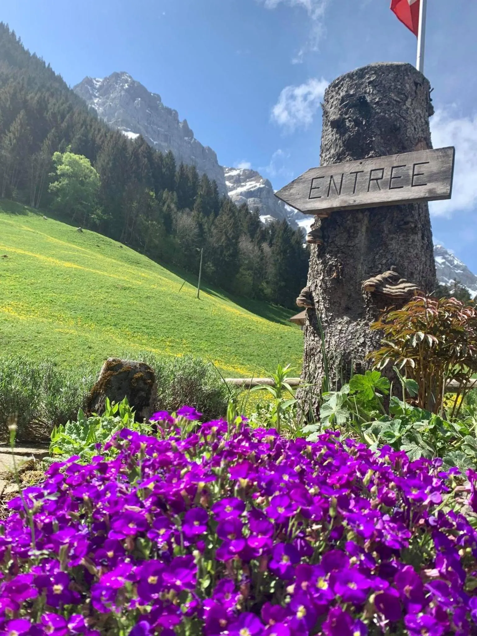 Guest House du Grand Paradis - On Piste
